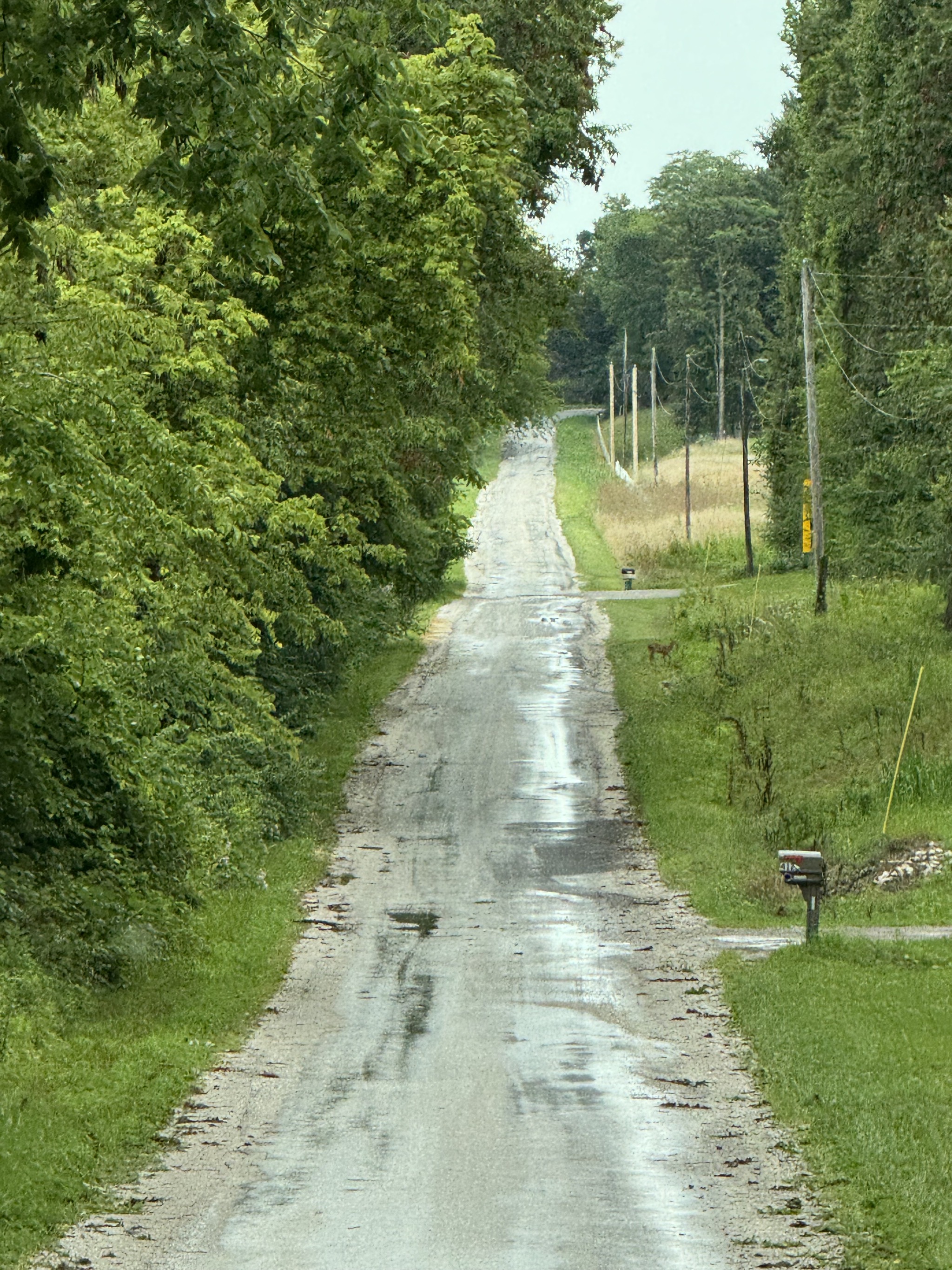 Narrow road