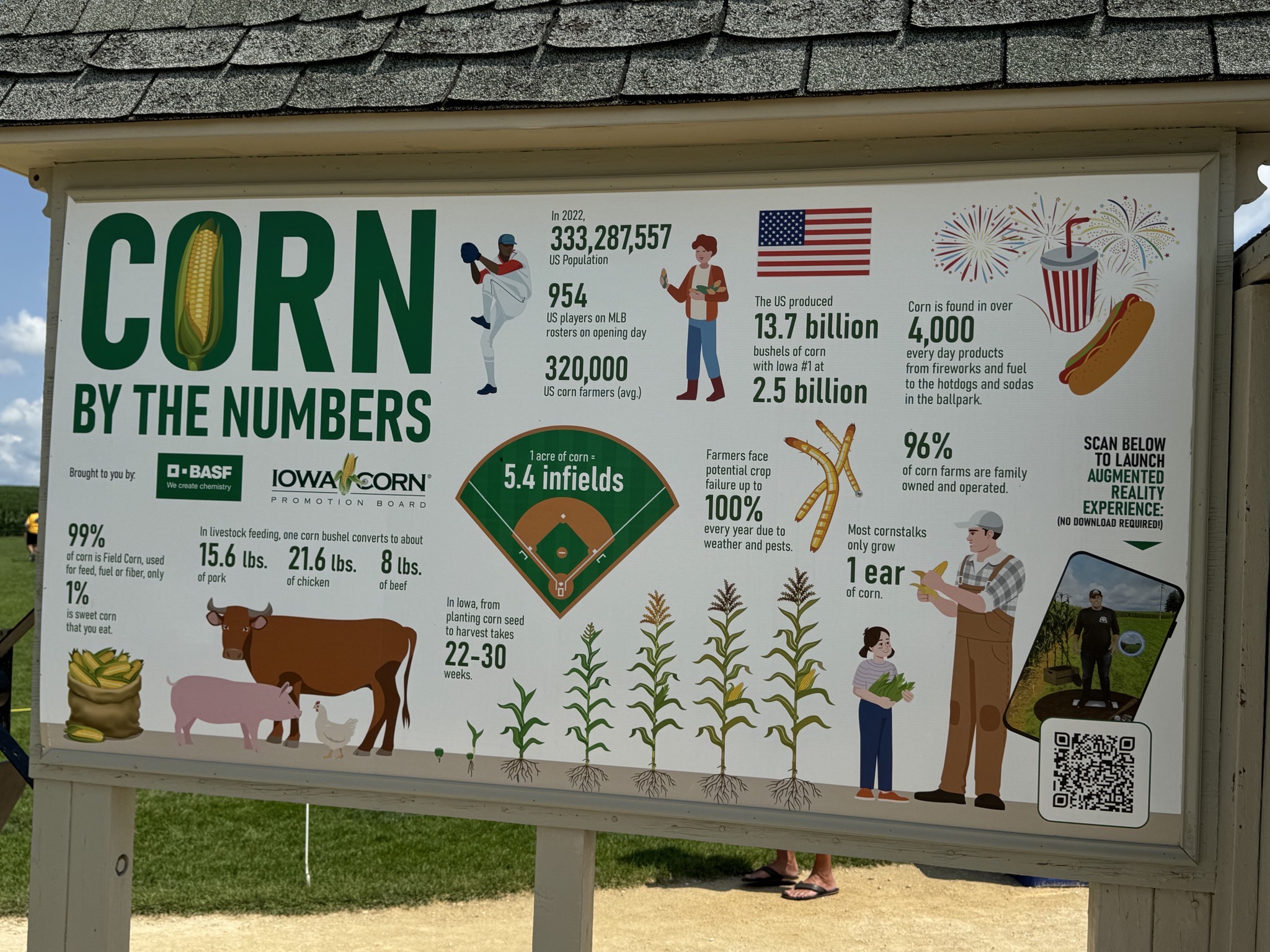 Corn by the numbers