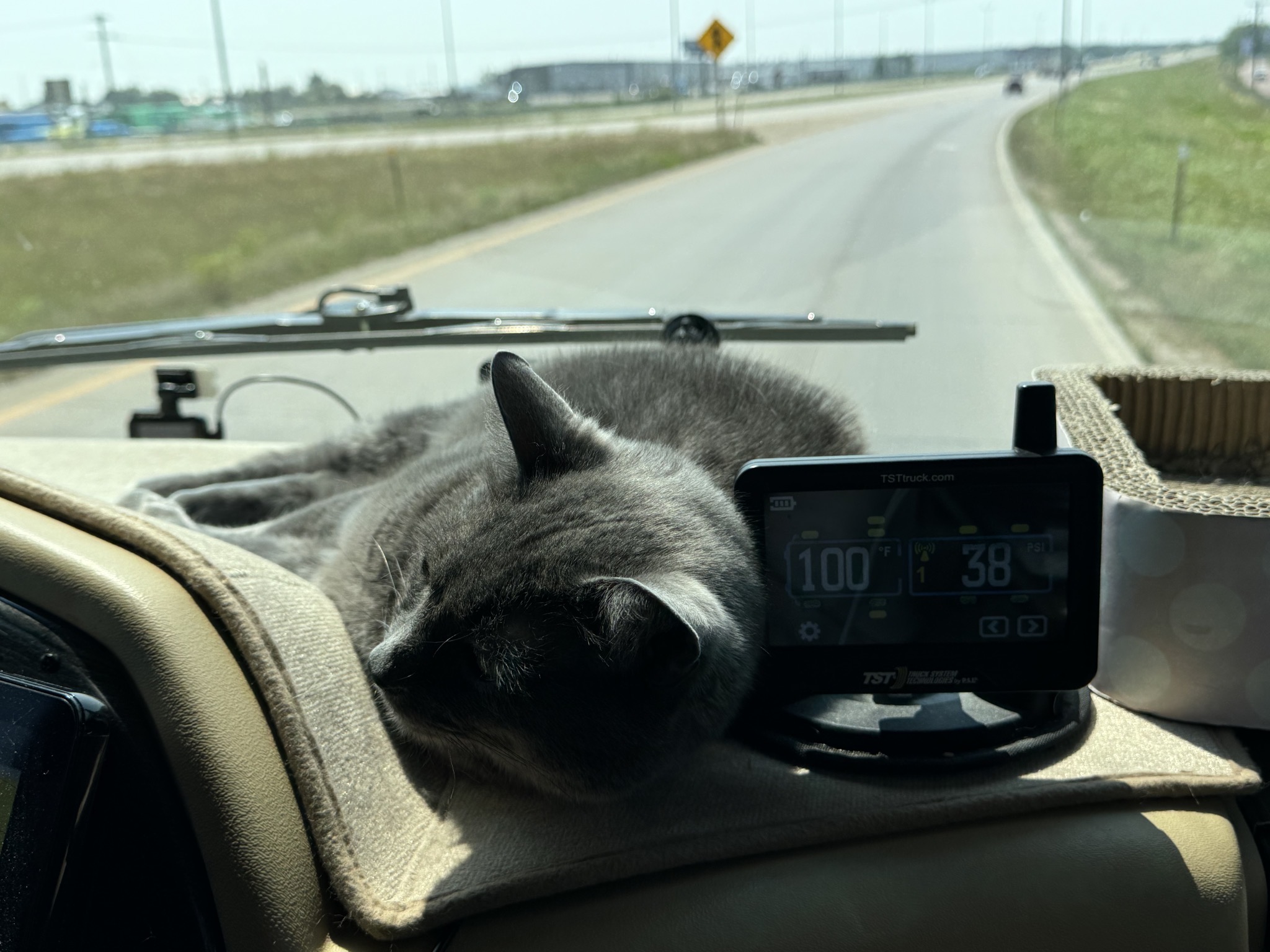 Paladin on the dash