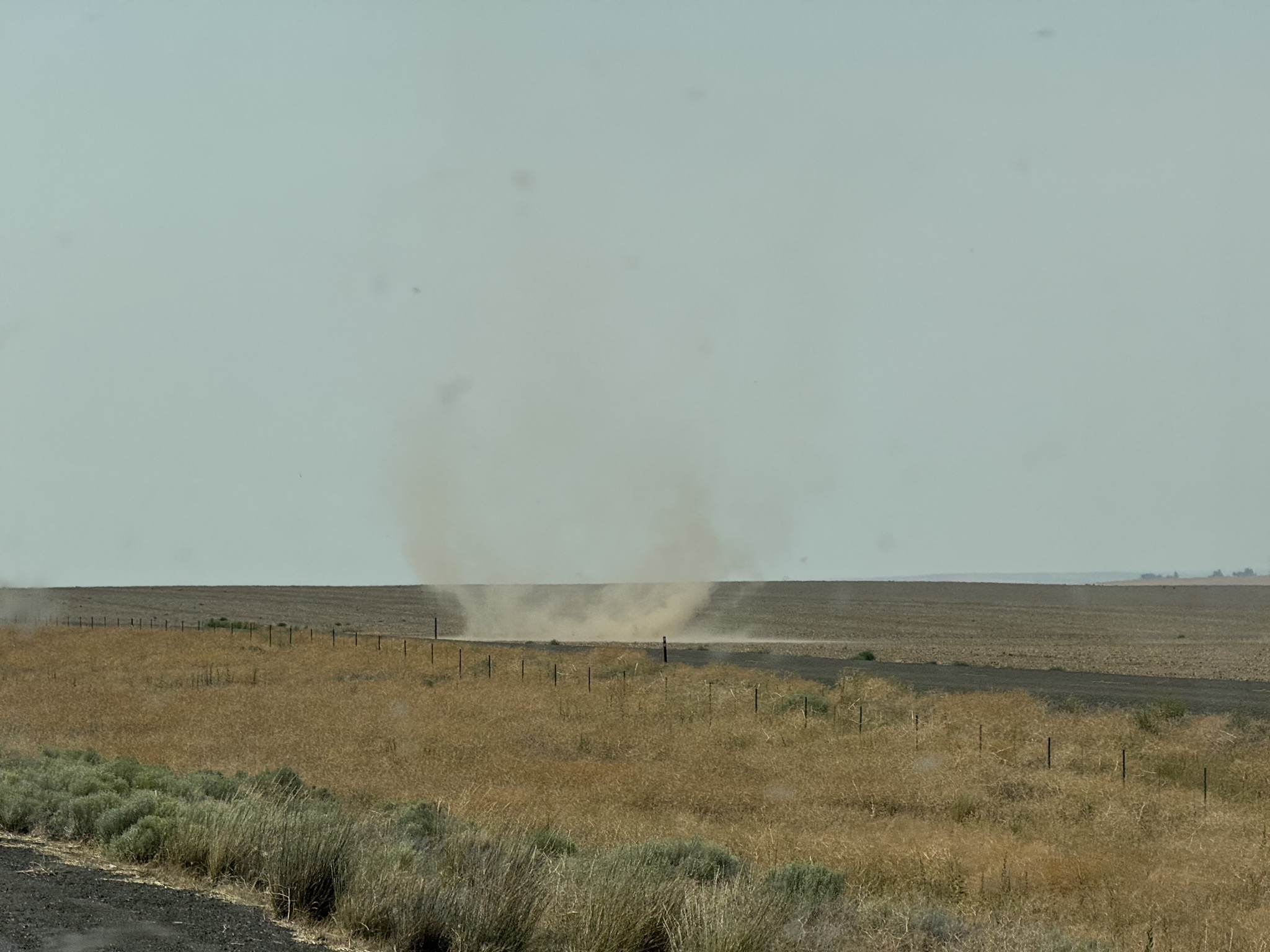 Dust devil