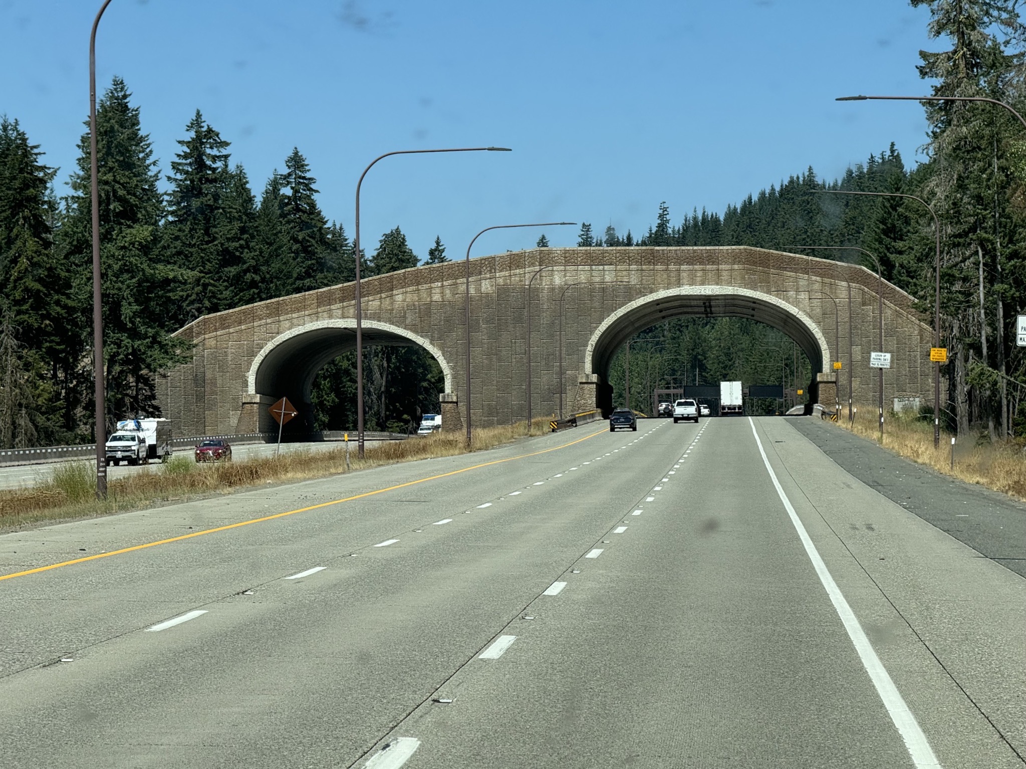 Wildlife bridge