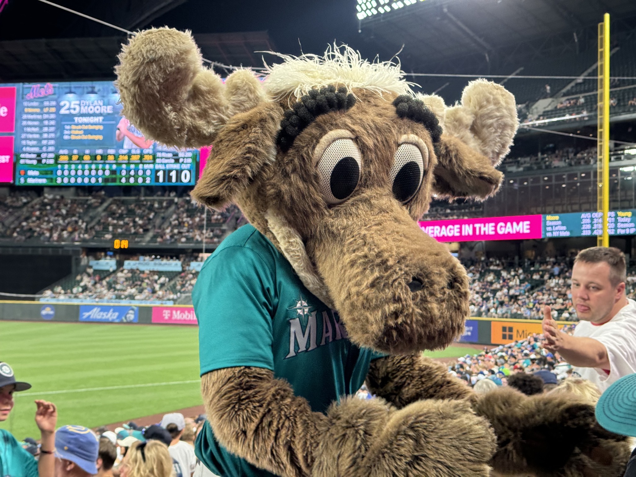 Moose