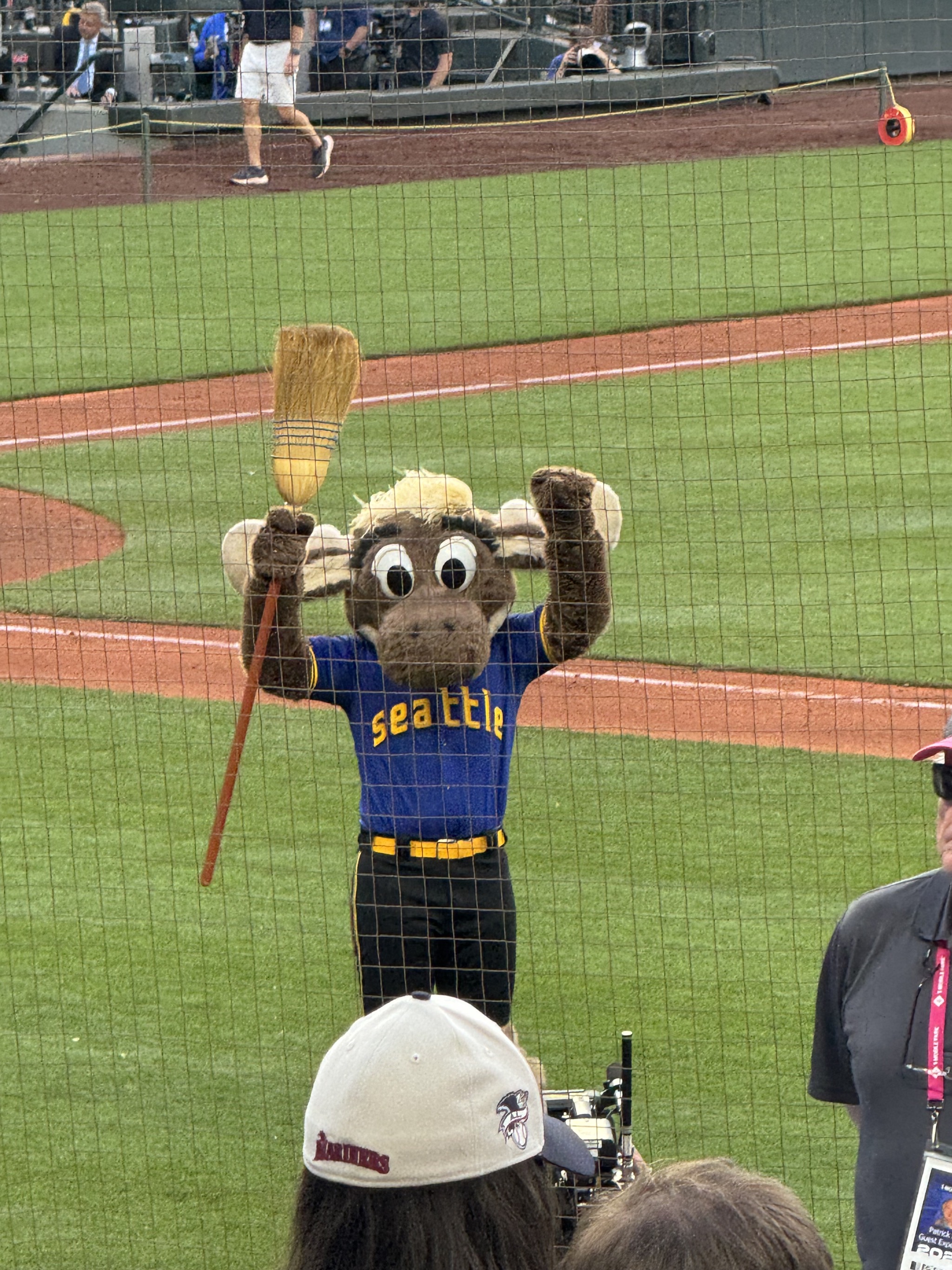 Sweep