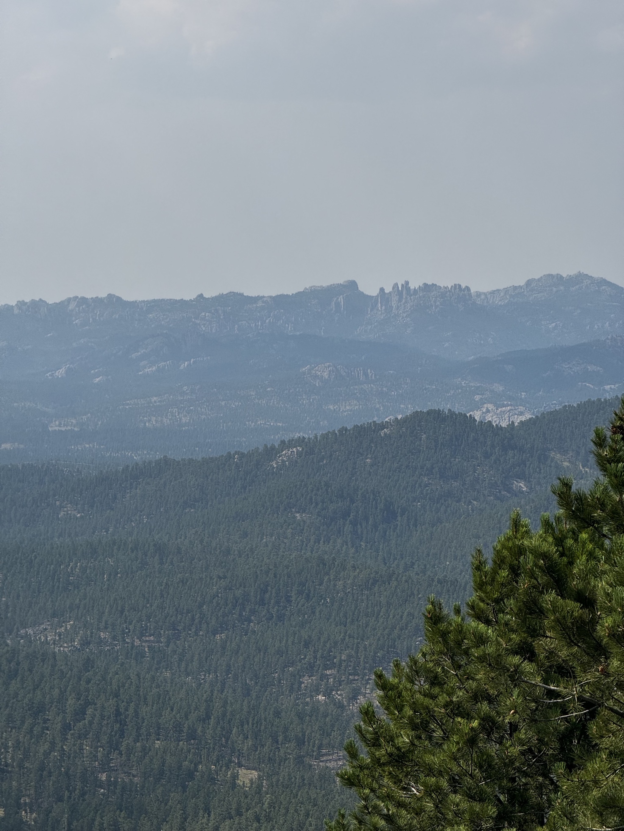 View