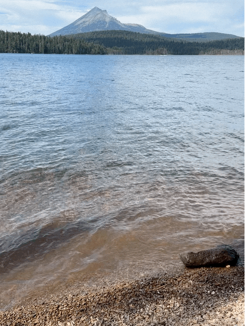 Lake of the Woods
