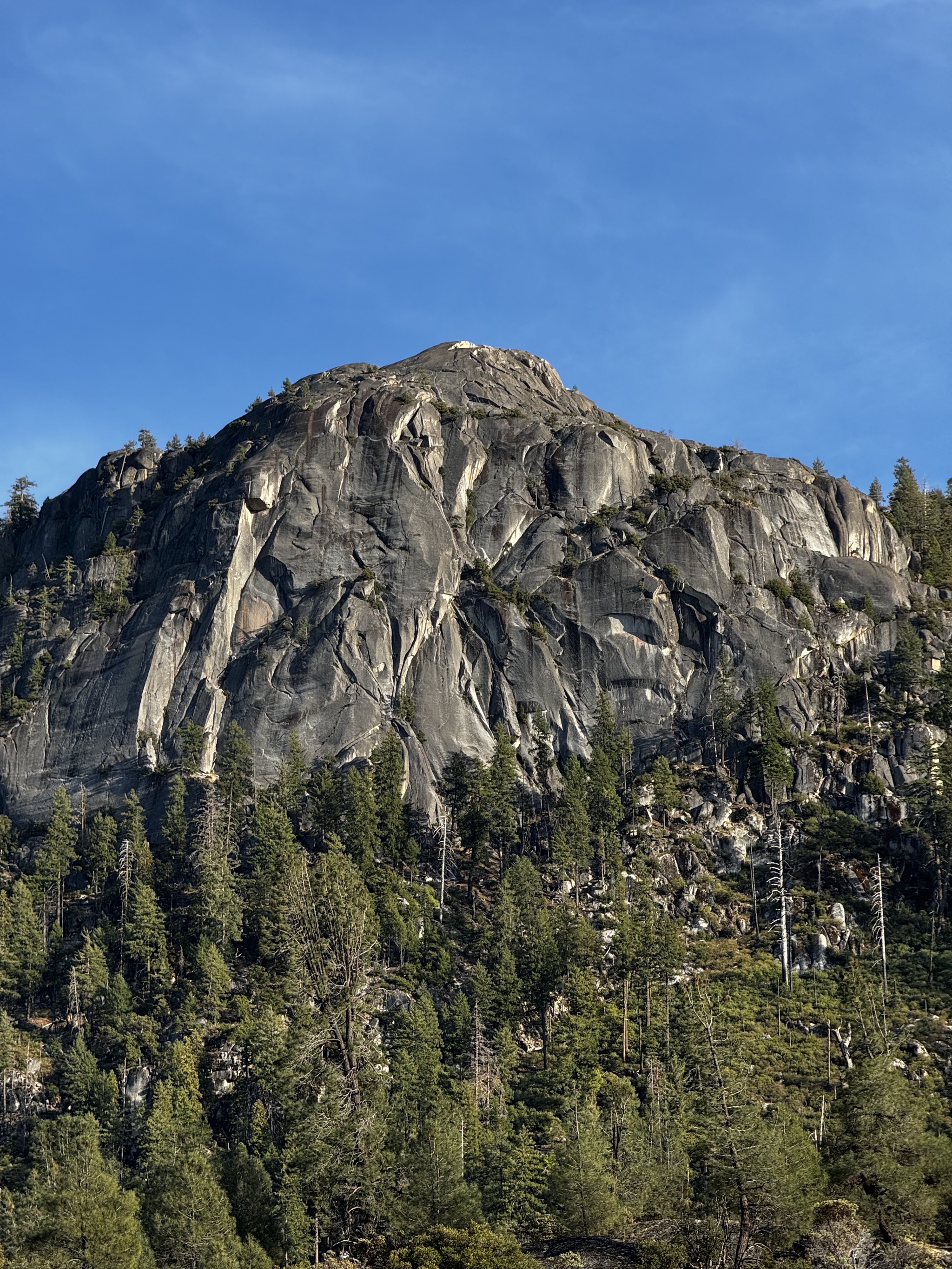 Hetch Hetchy dam