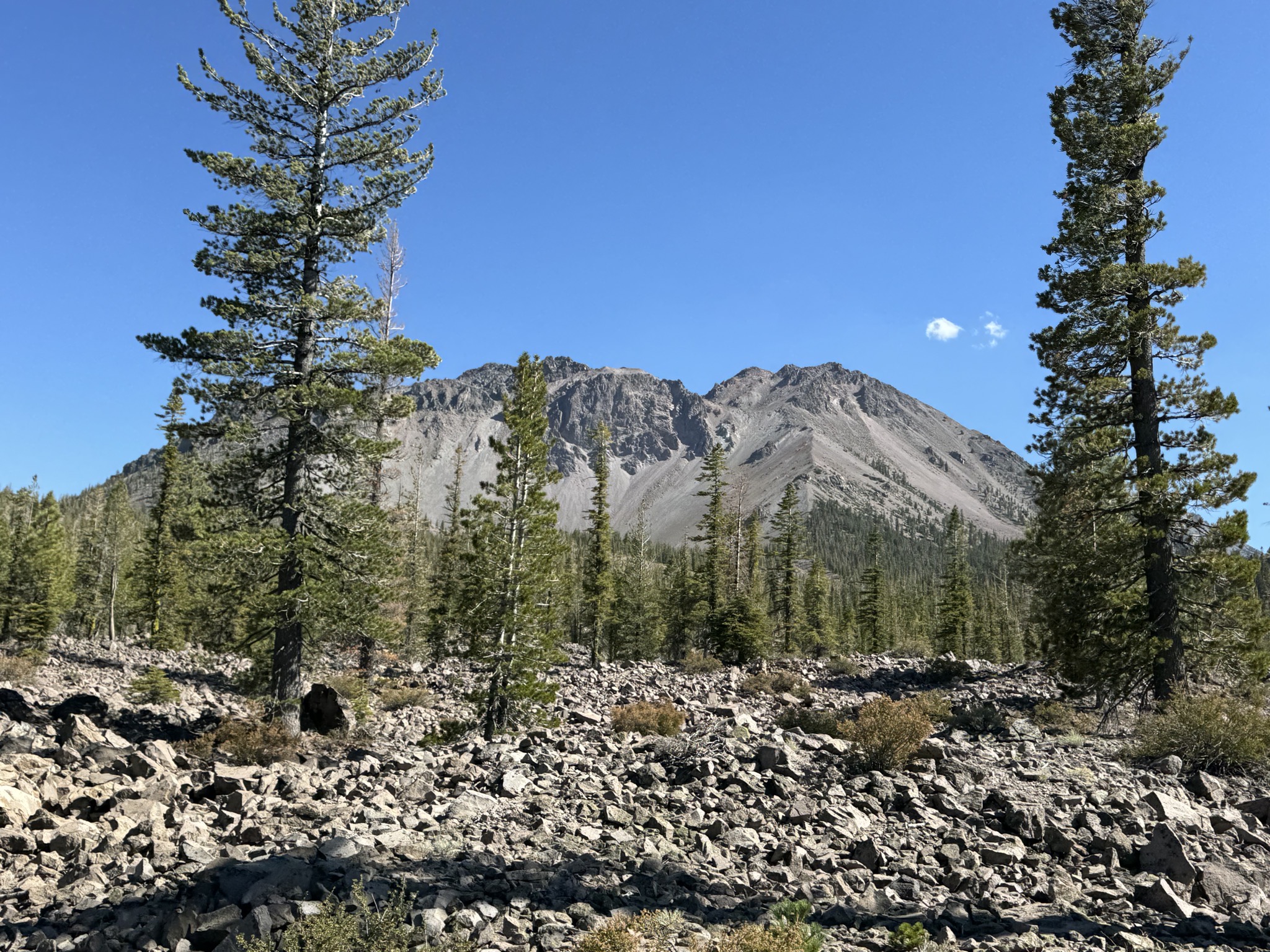 Lassen