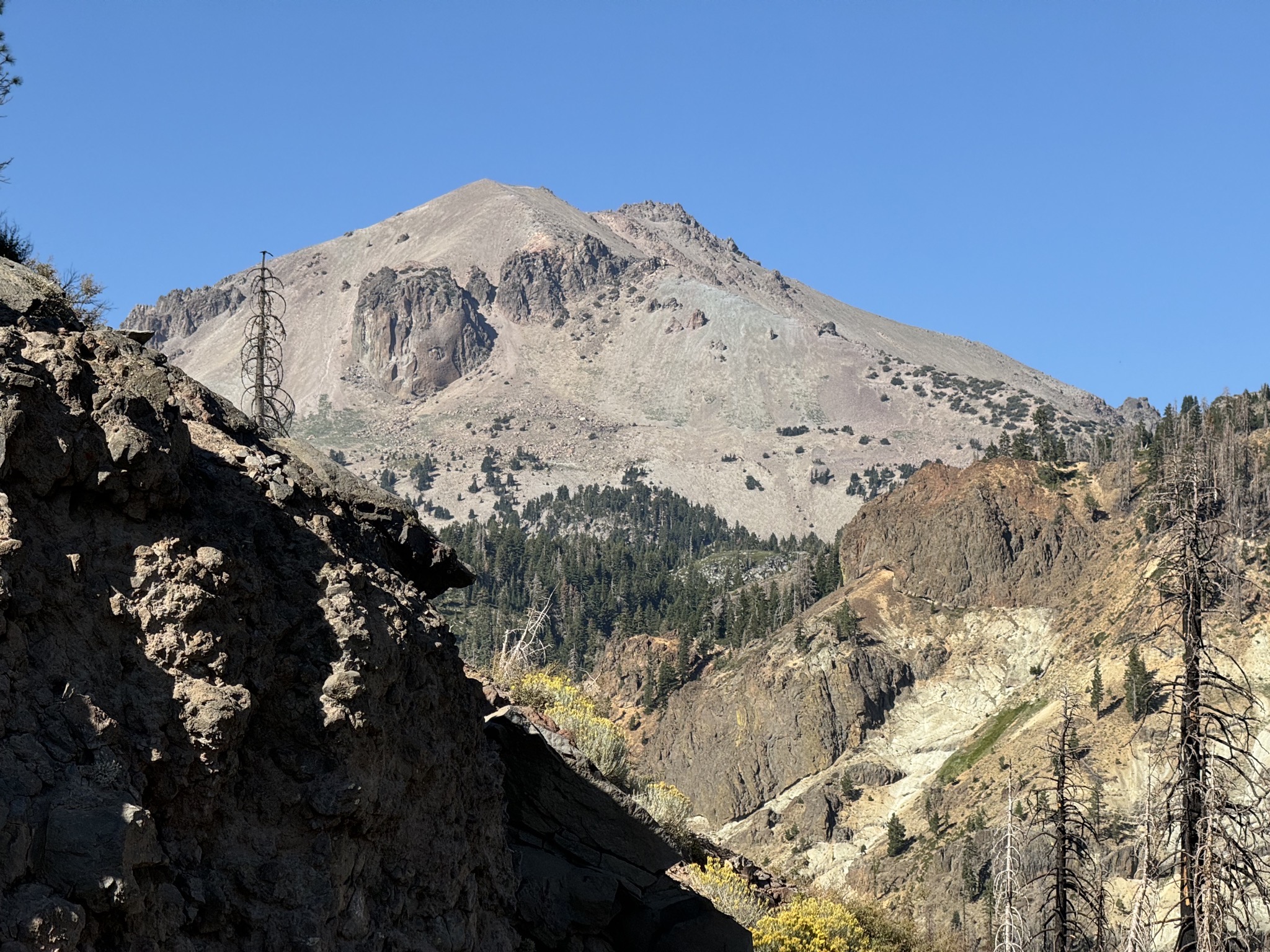 Lassen