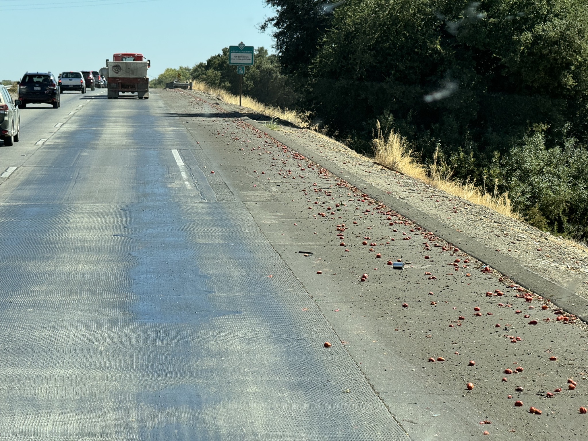 Lots of tomatoes on the side of the road