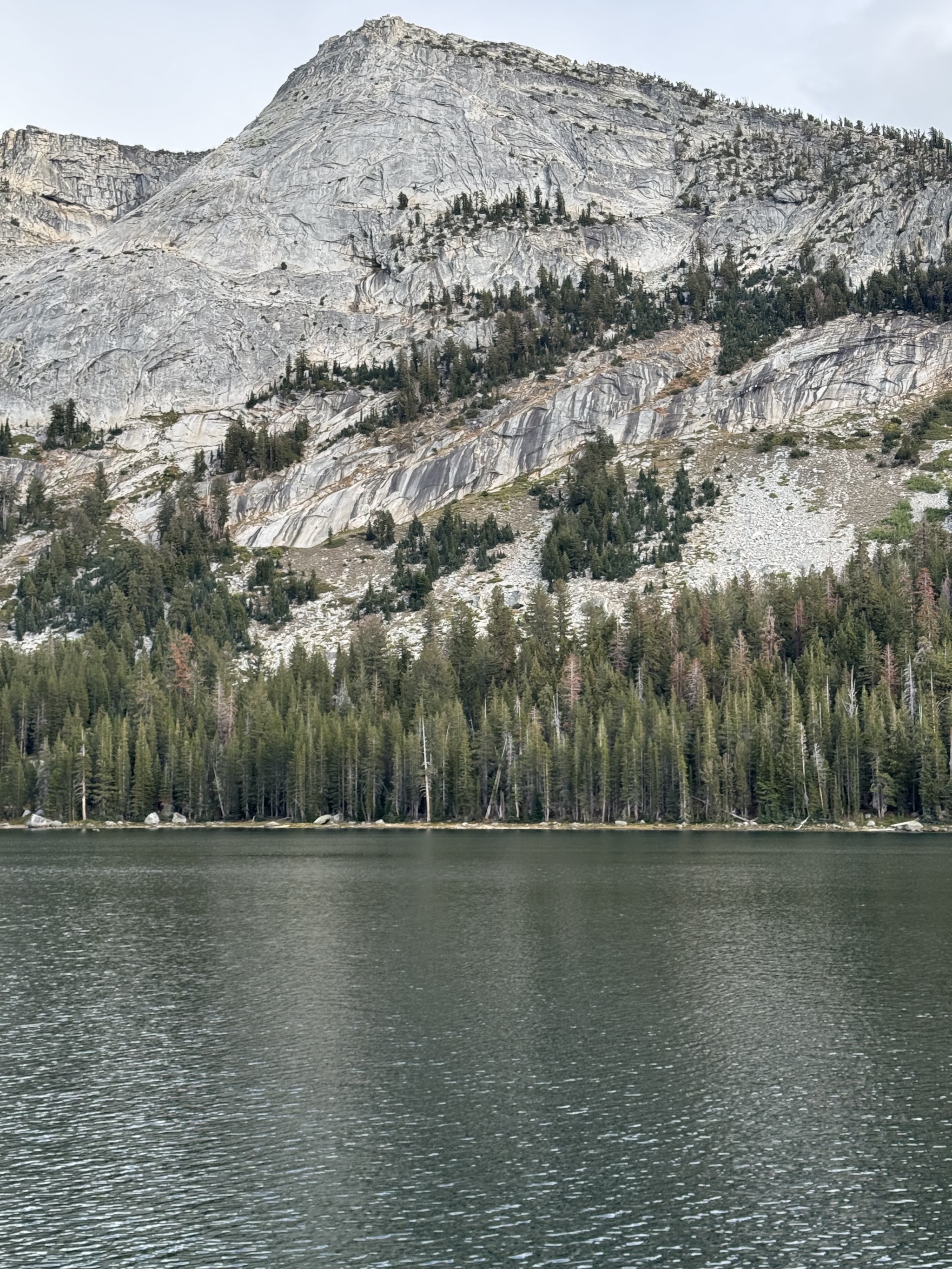 Tenaya Lake