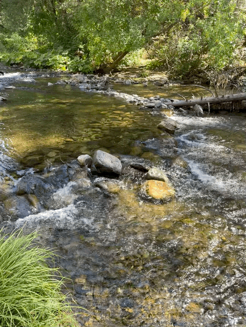 South Fork Tuolumne River