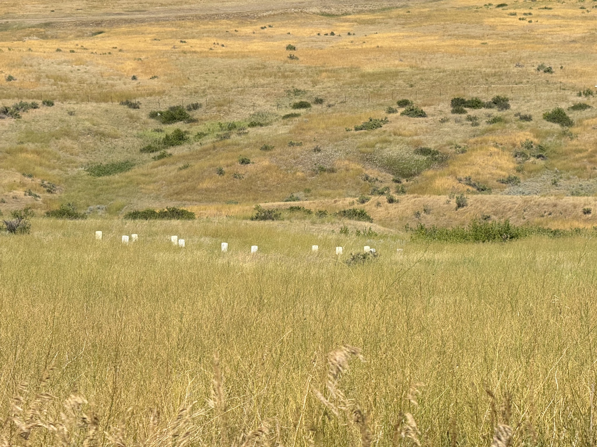 Battlefield markers