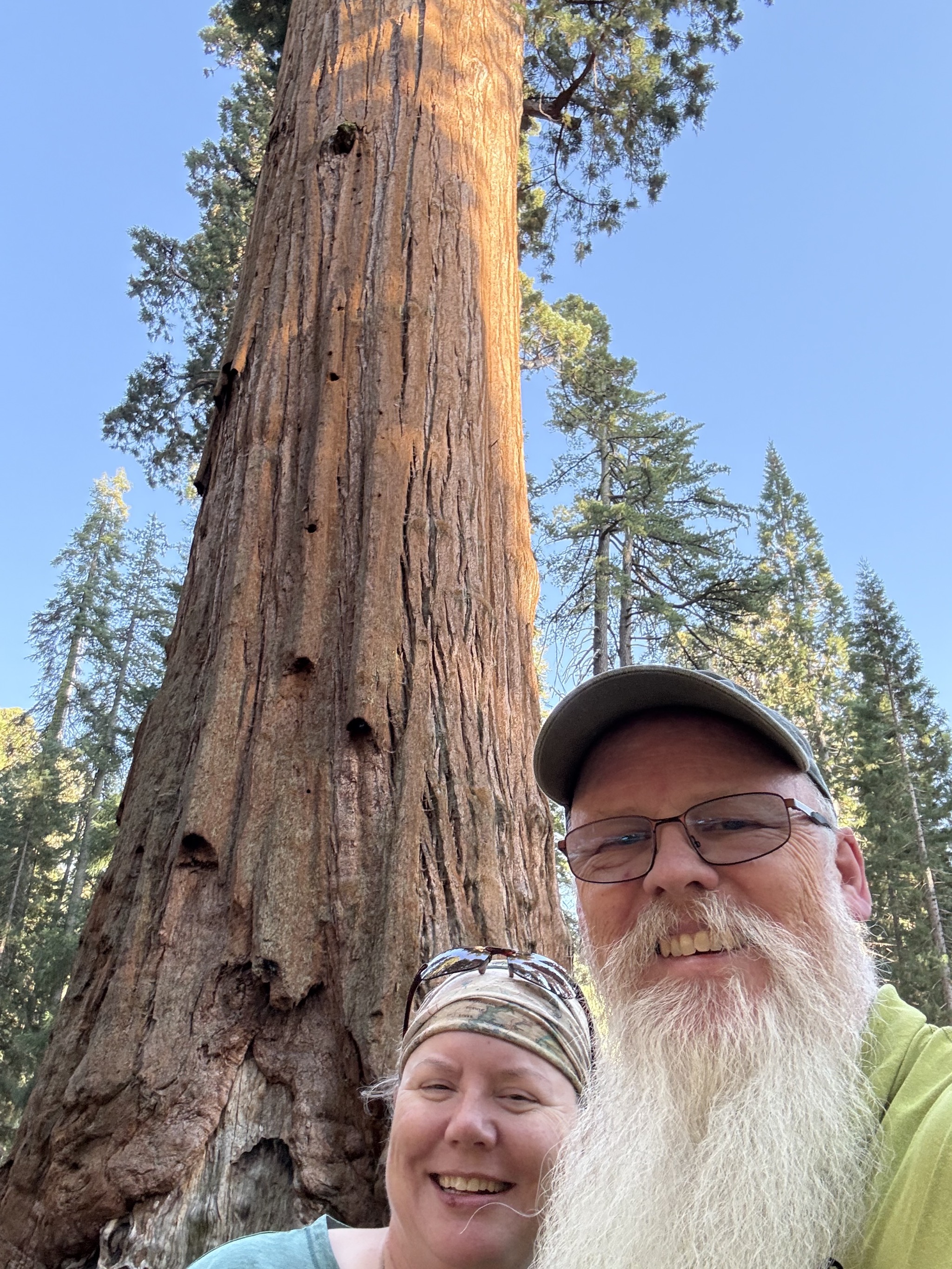 General Sherman tree