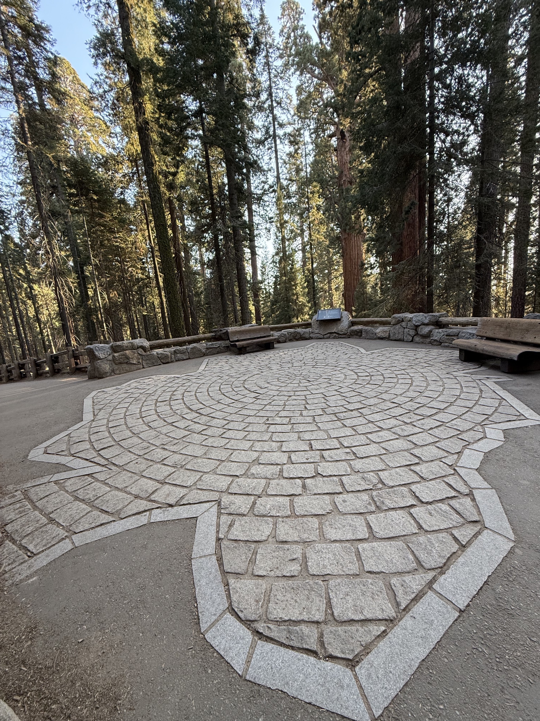 Footprint of Sherman Tree