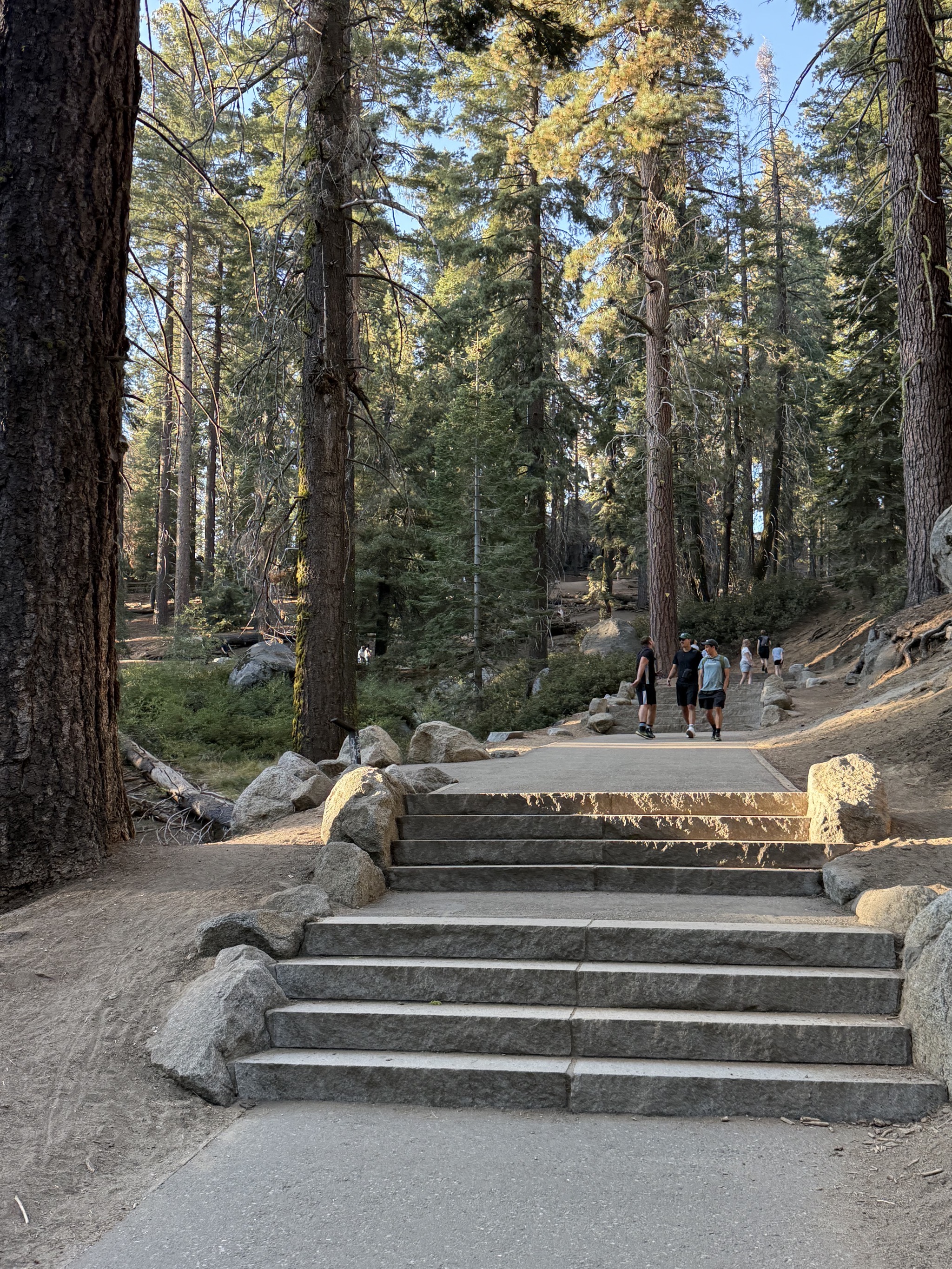 Path and steps
