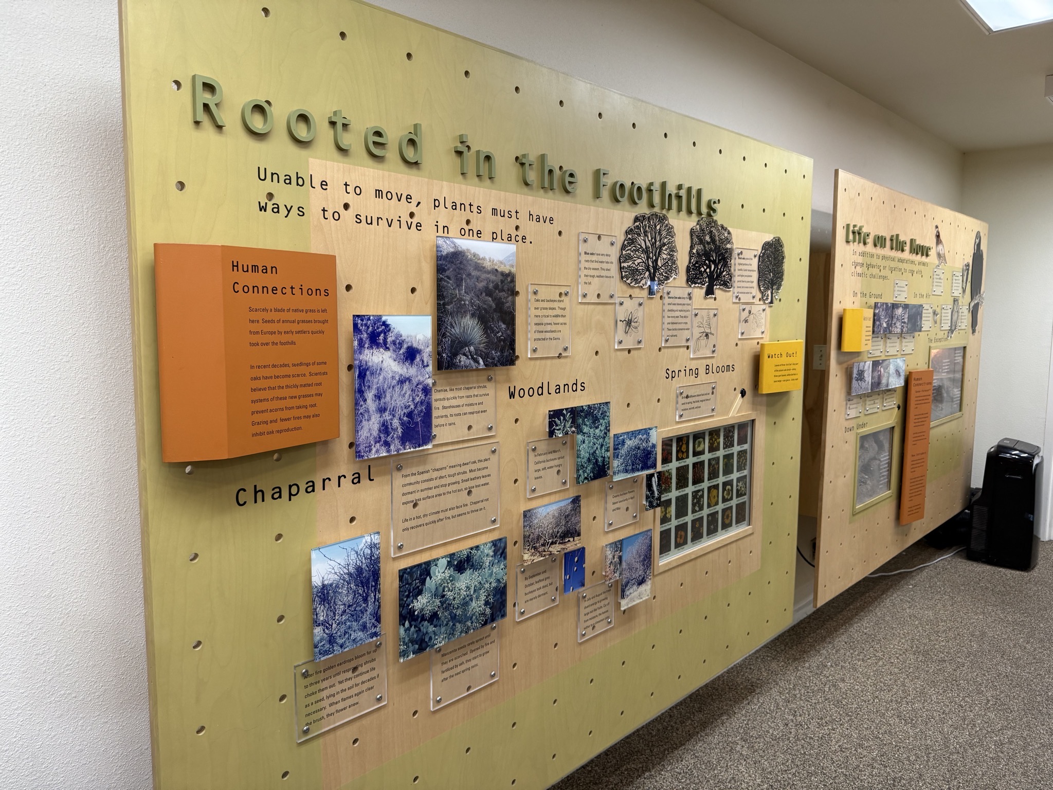 Visitor center
