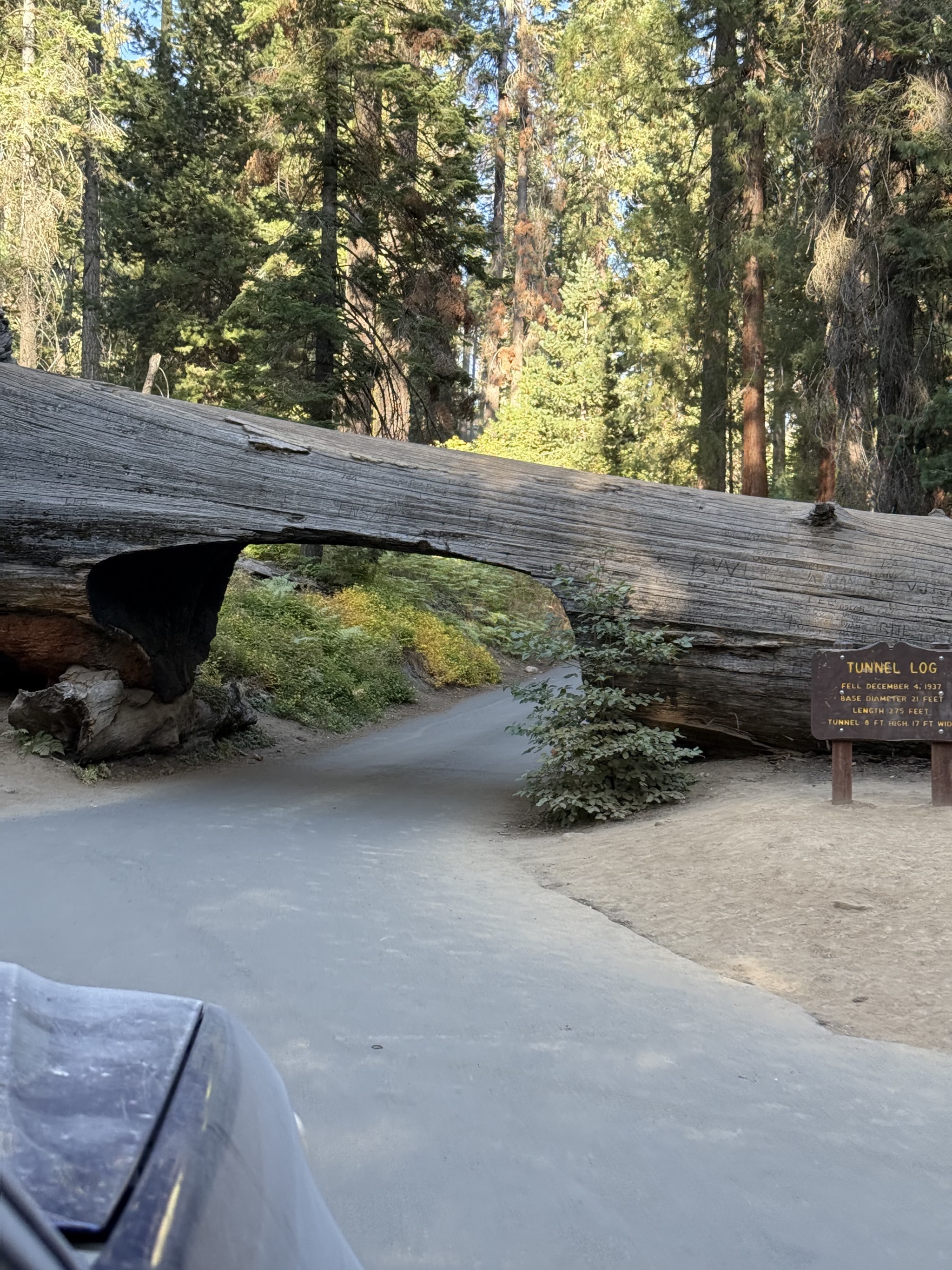 Tunnel Log