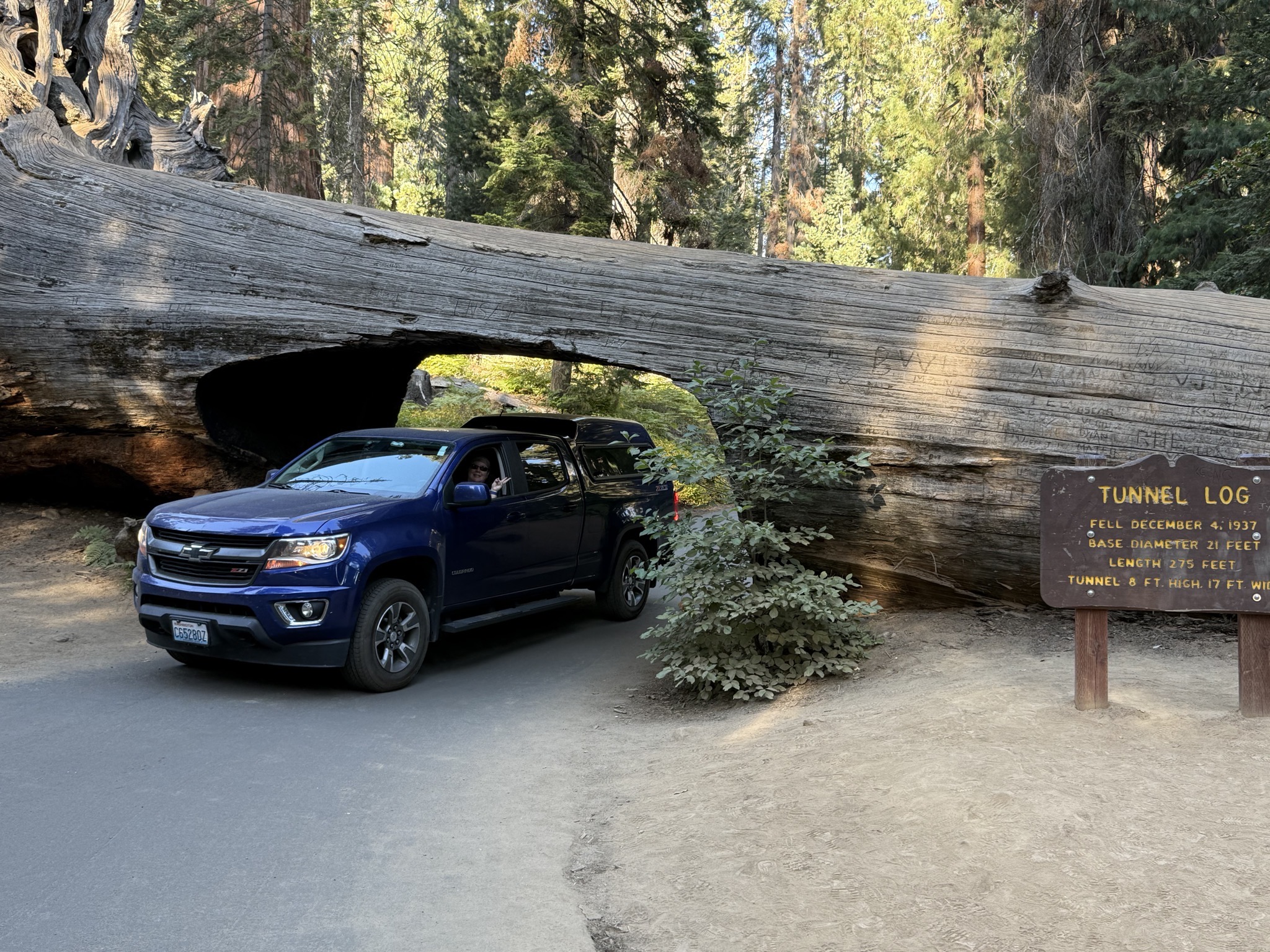 Tunnel Log
