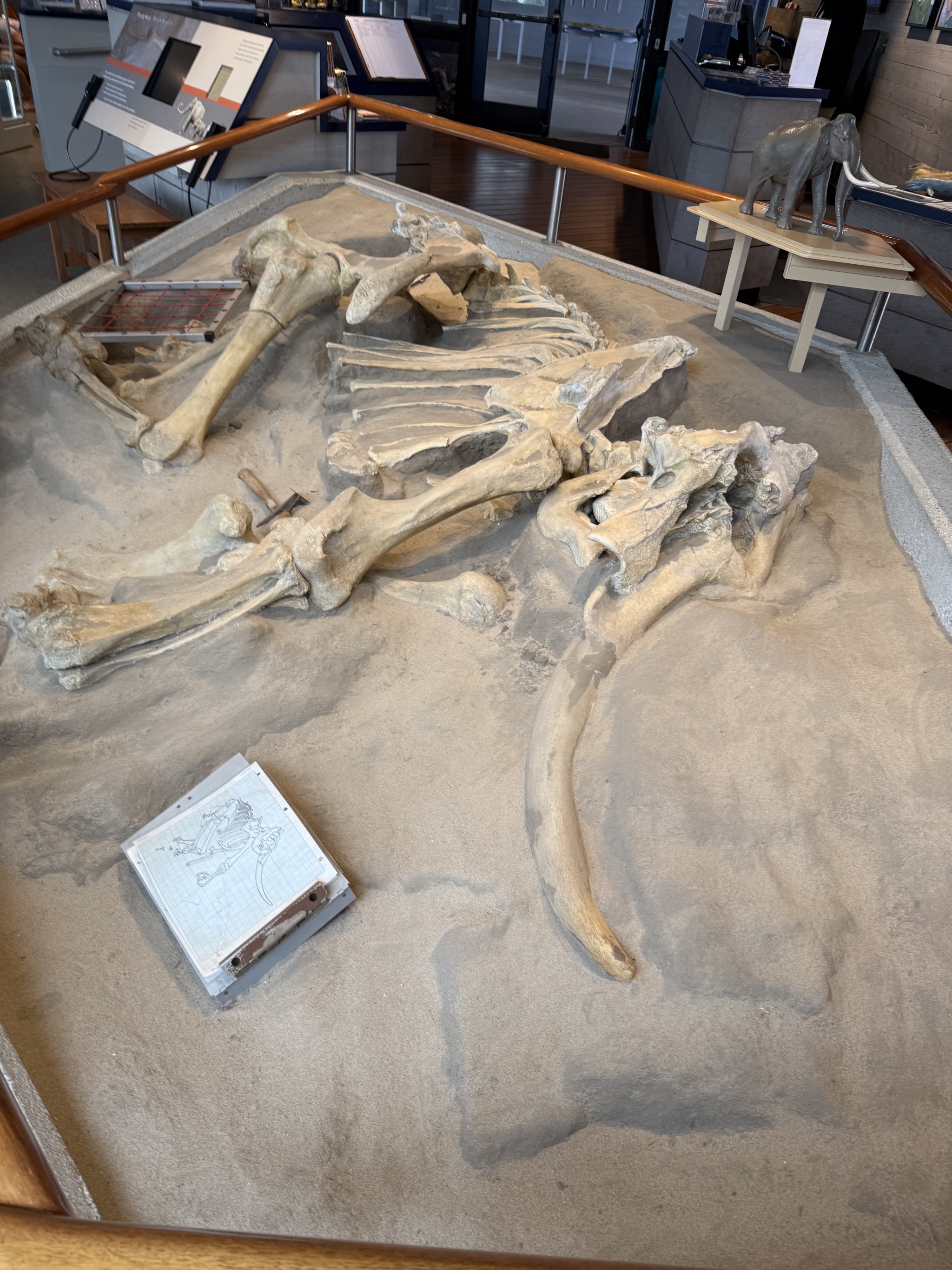 Exhibits