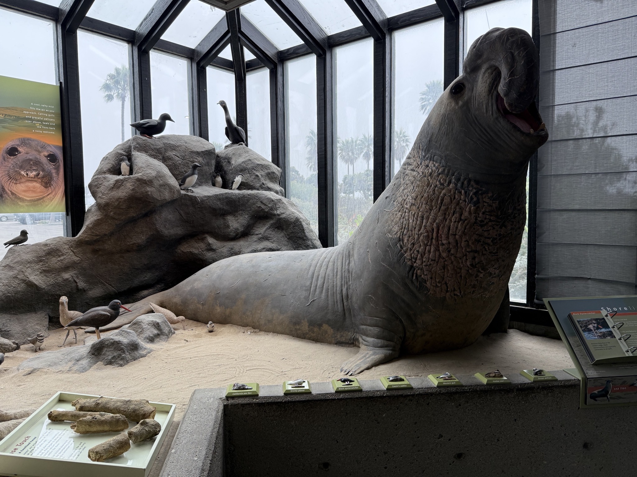 Exhibits
