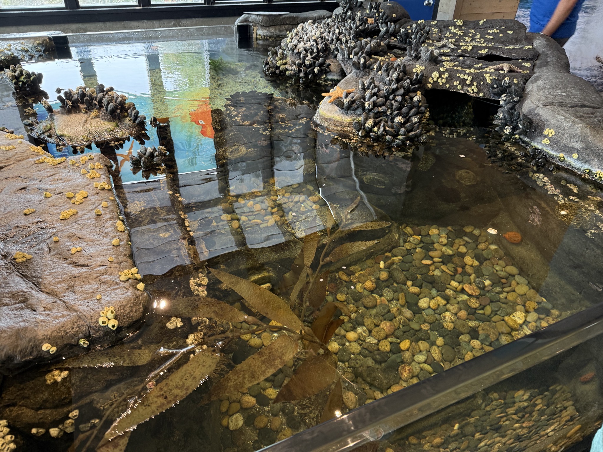 Exhibits