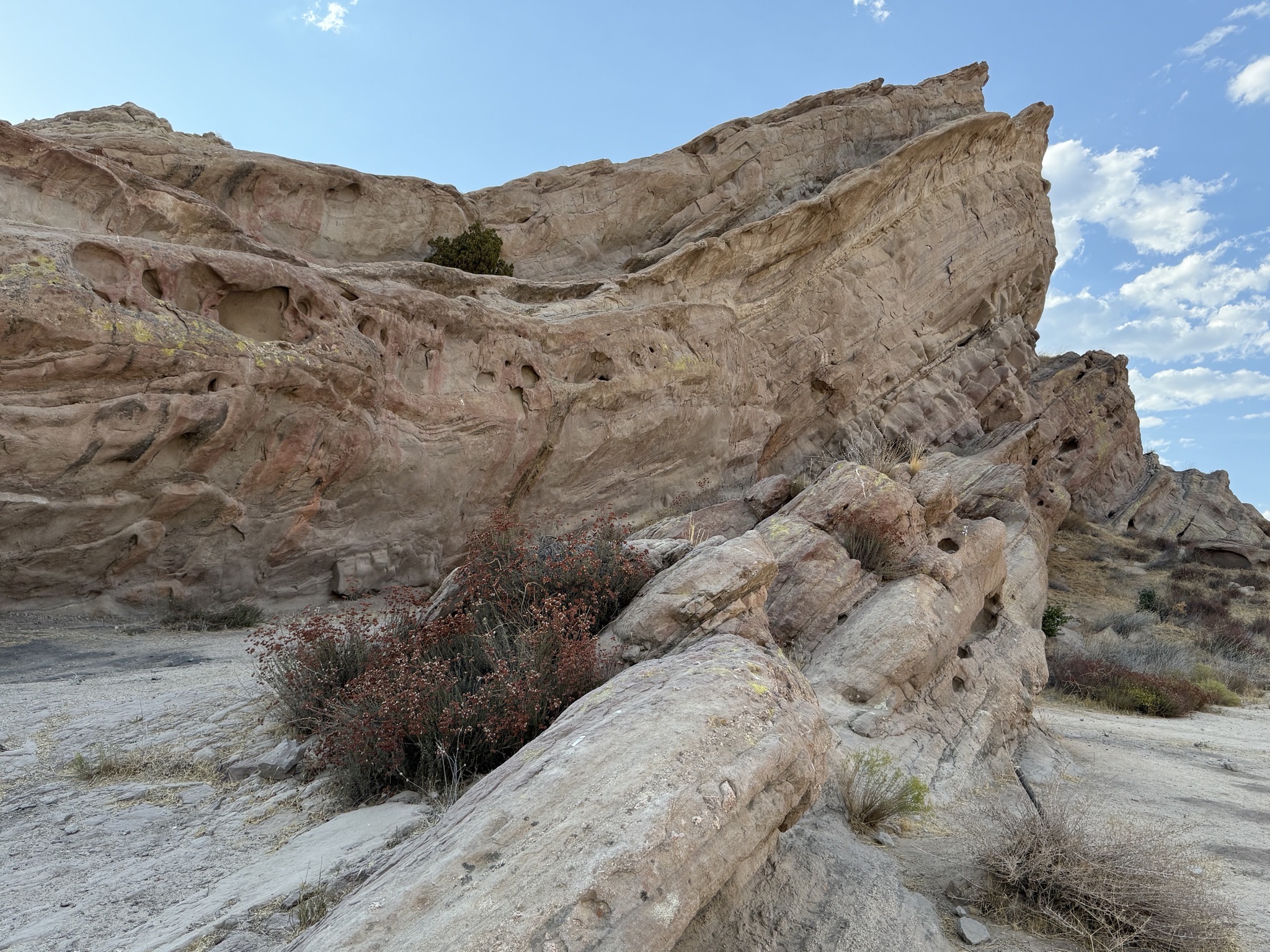 Vasquez Rocks