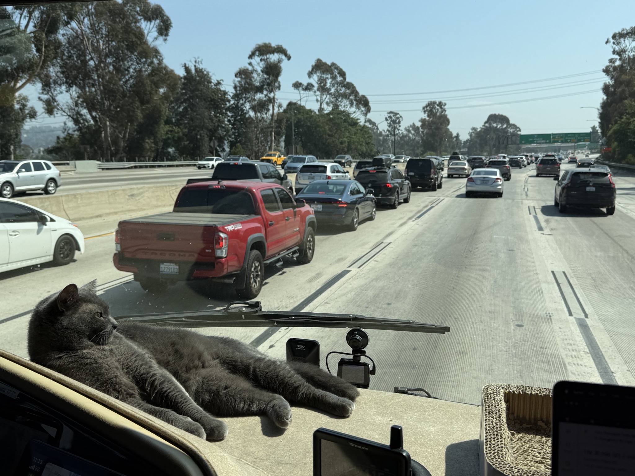 Paladin on the dash