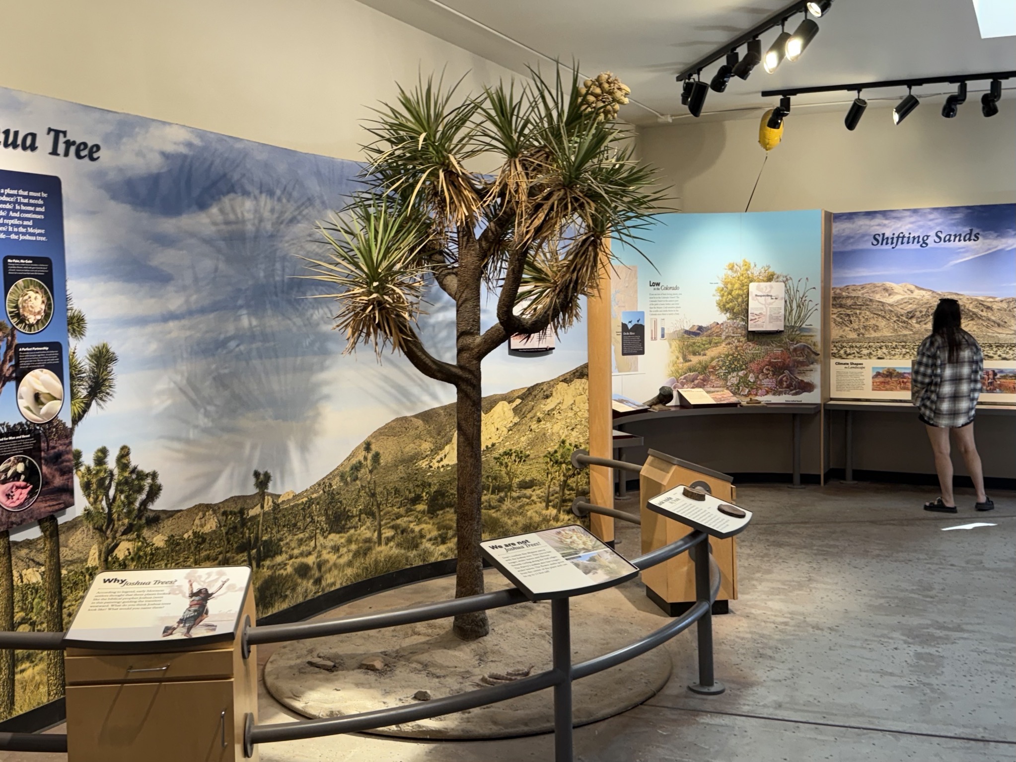 Visitor center