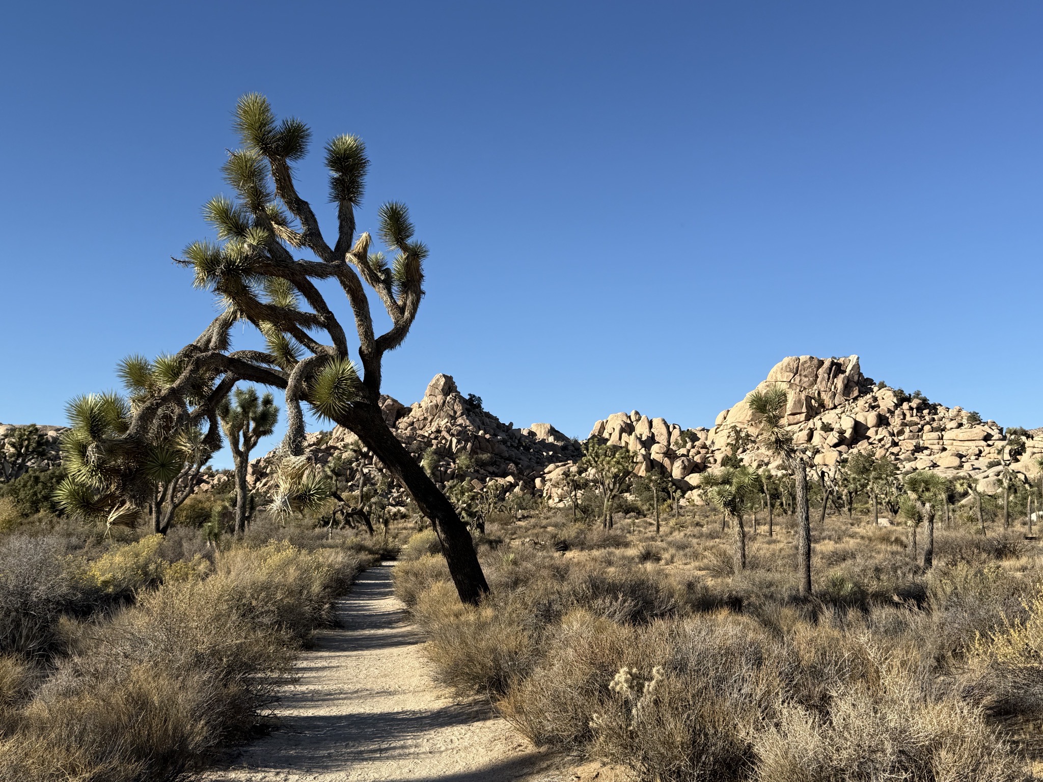 Wall Street Mill Trail