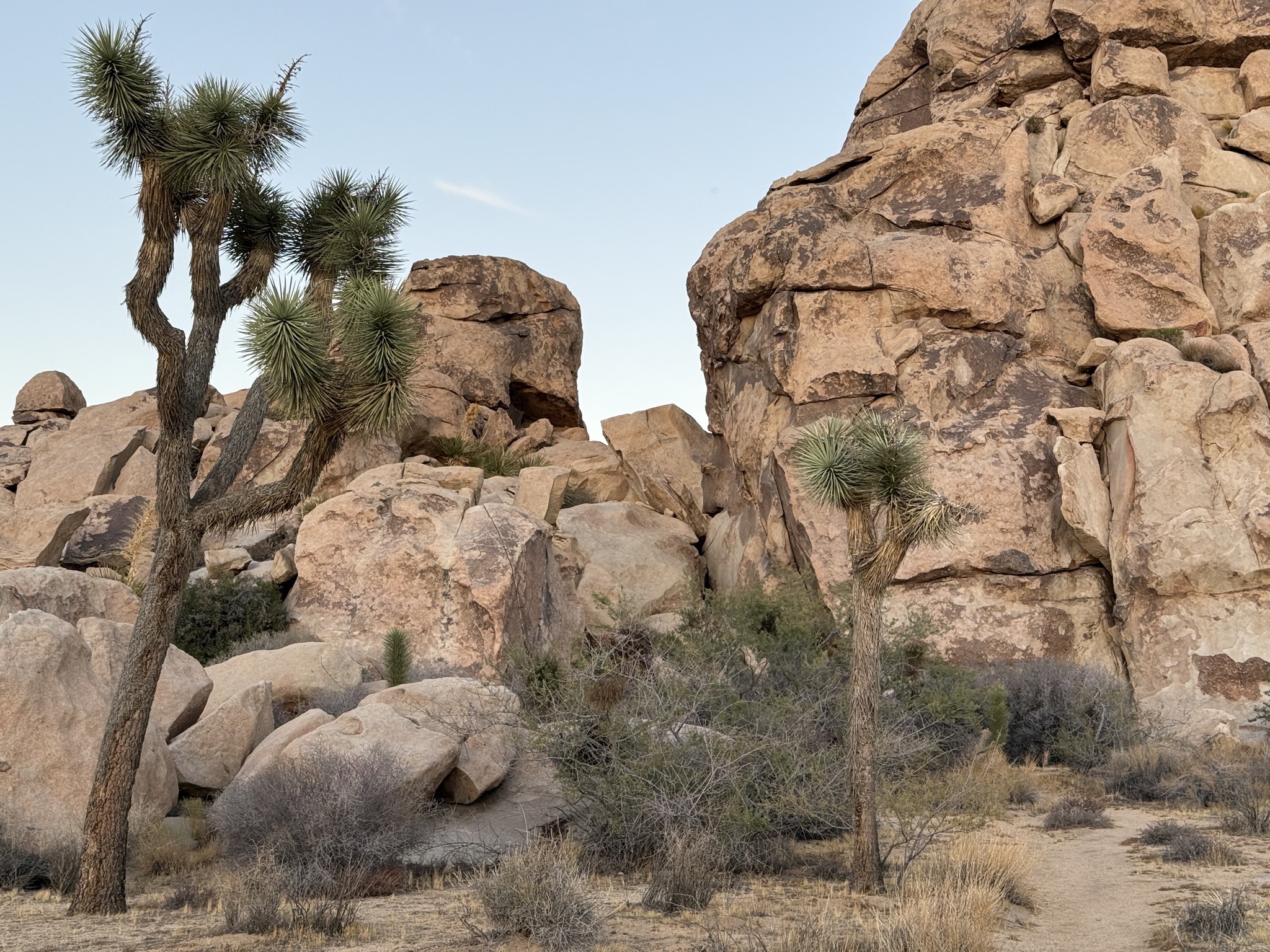 Rocks