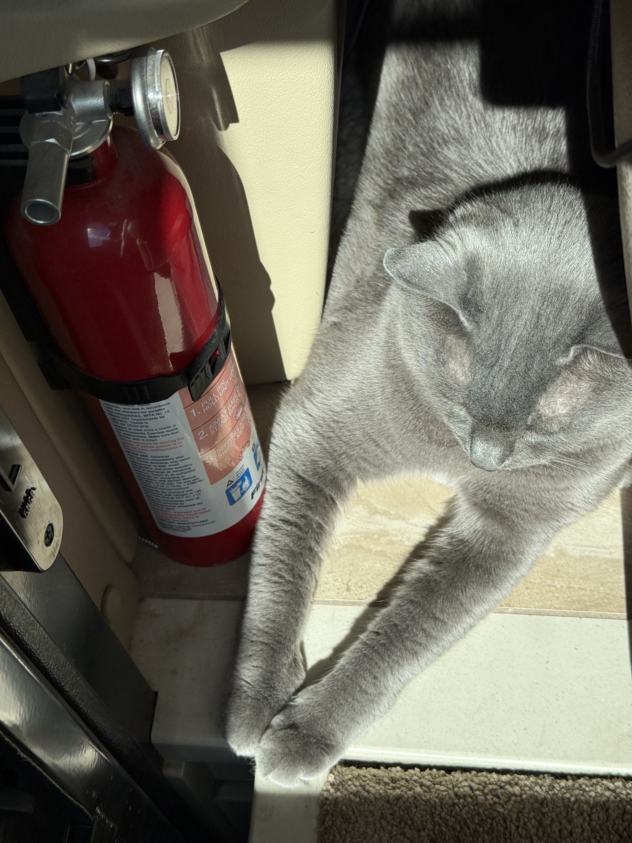 Paladin in his safe space, with a sunbeam