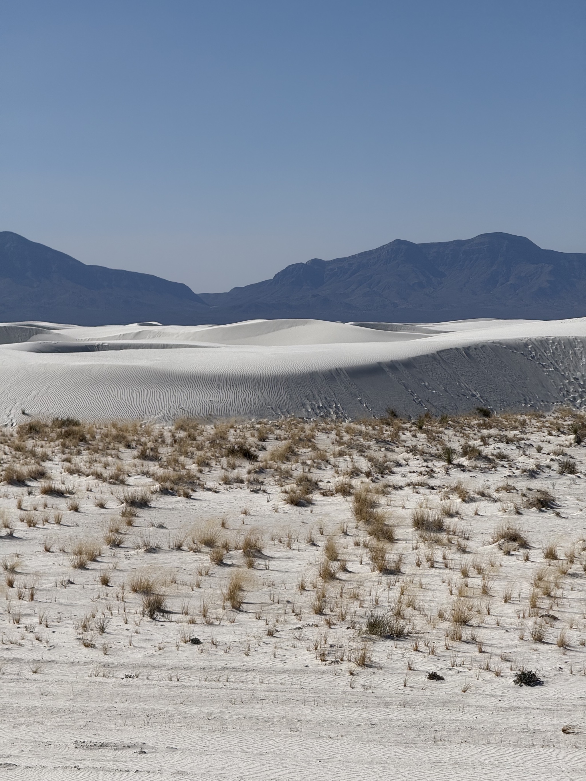 Sand dunes