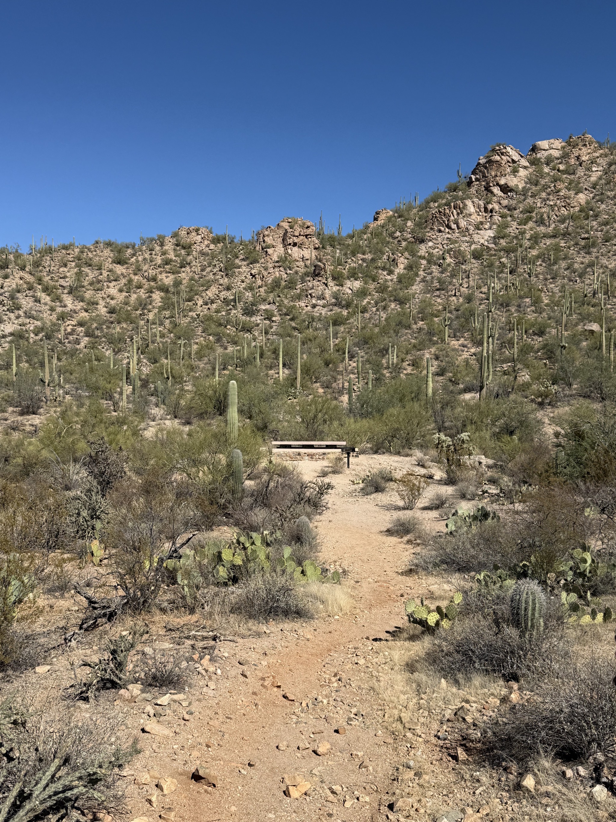 Picnic area