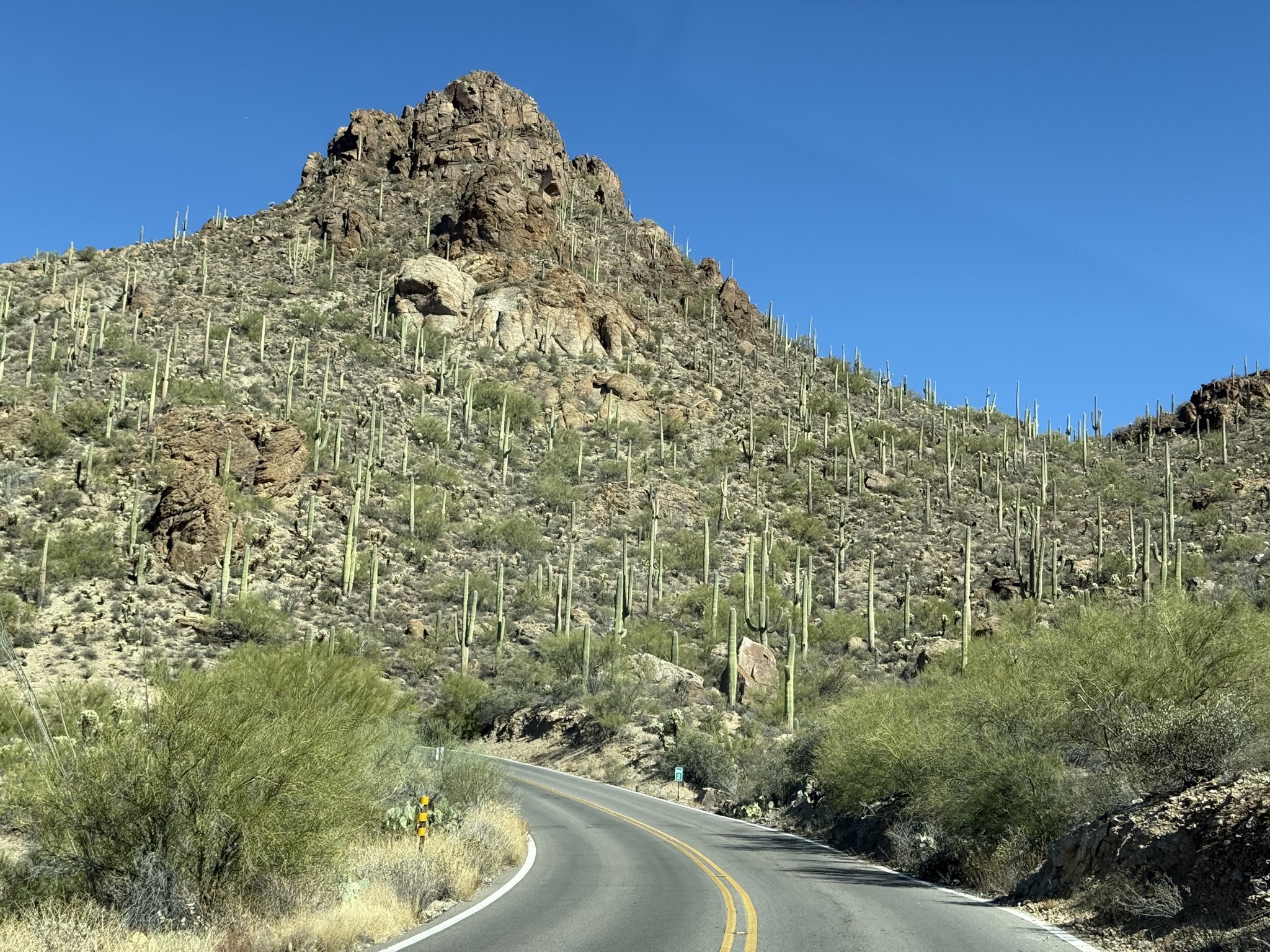 Tucson Mountain Park