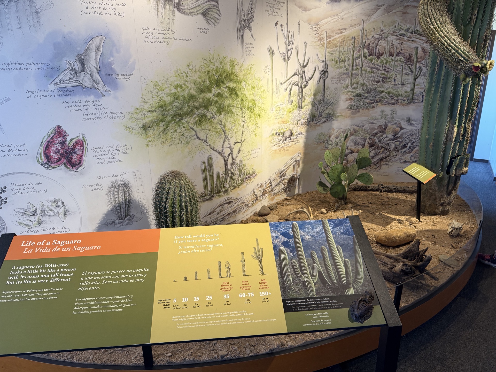 East visitor center