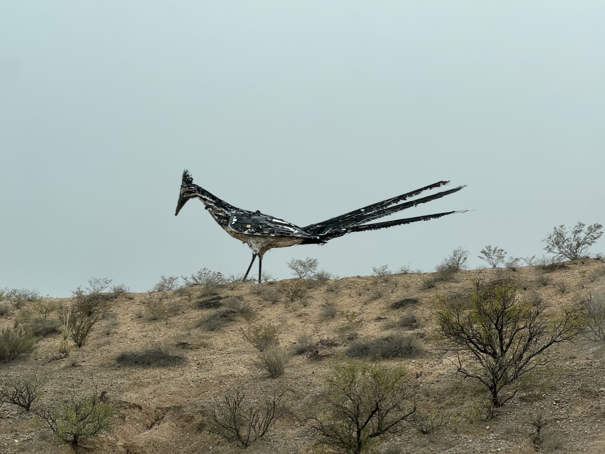 Recycled Roadrunner artwork