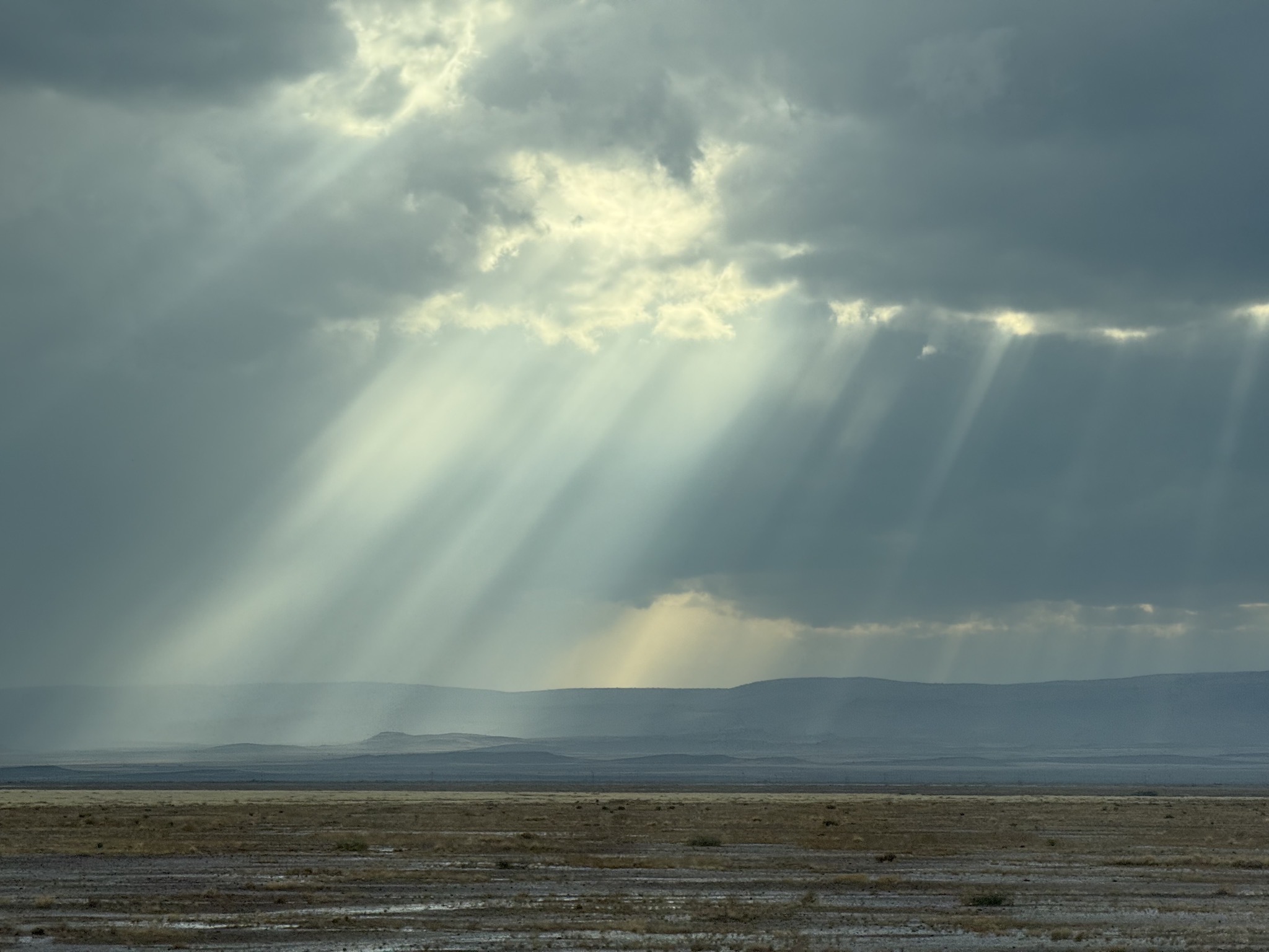 Sun rays