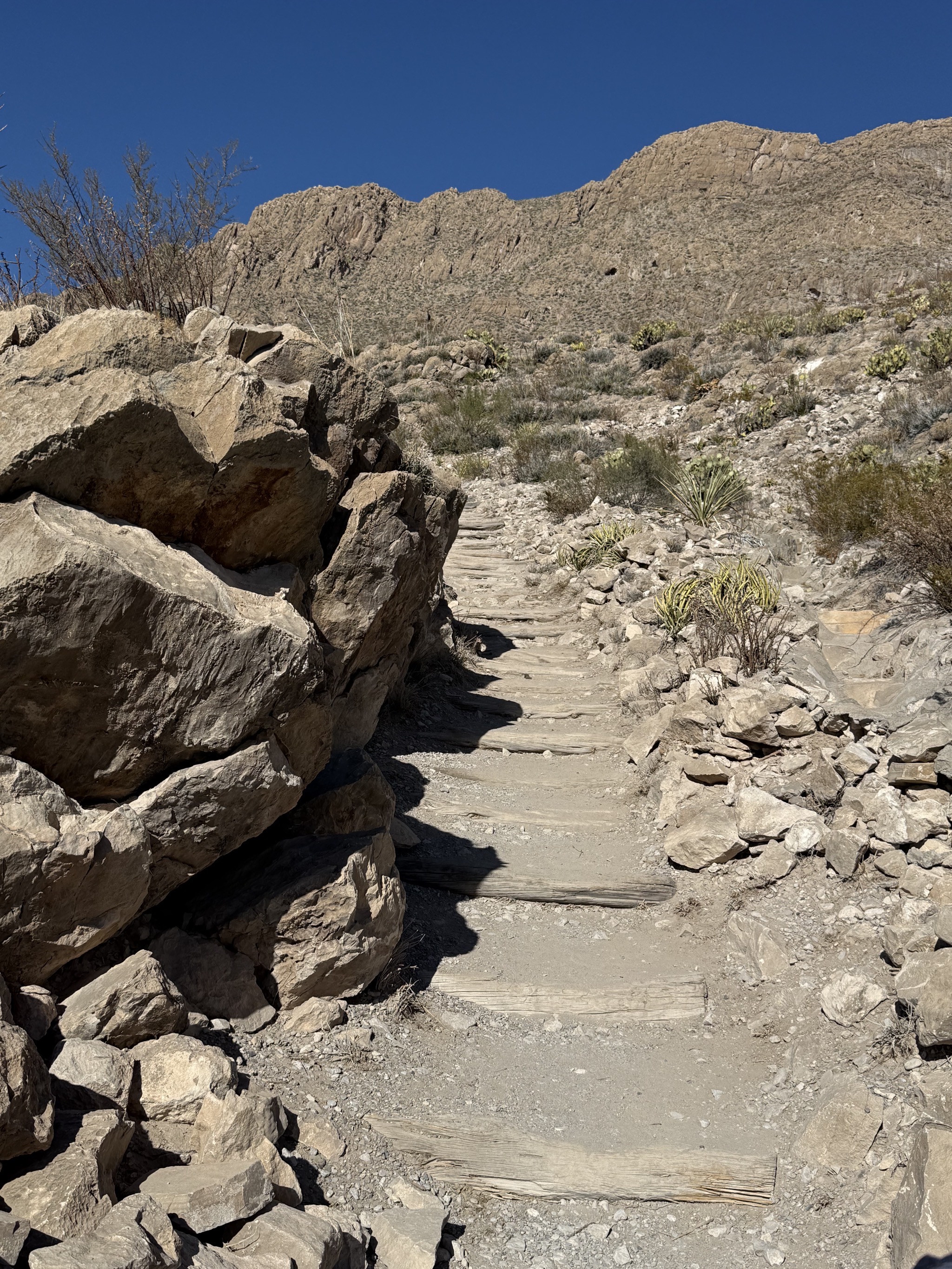 Steps