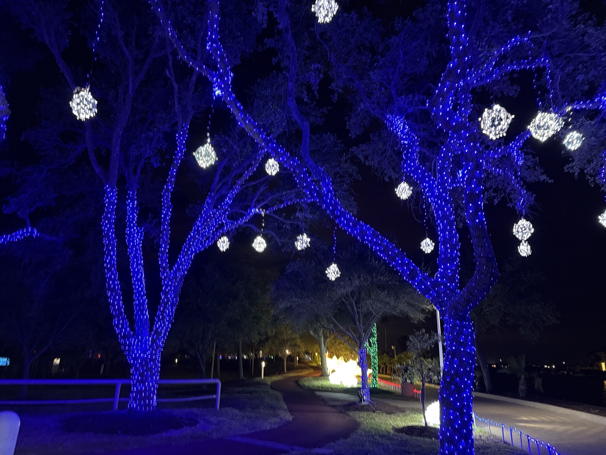 Holiday lights