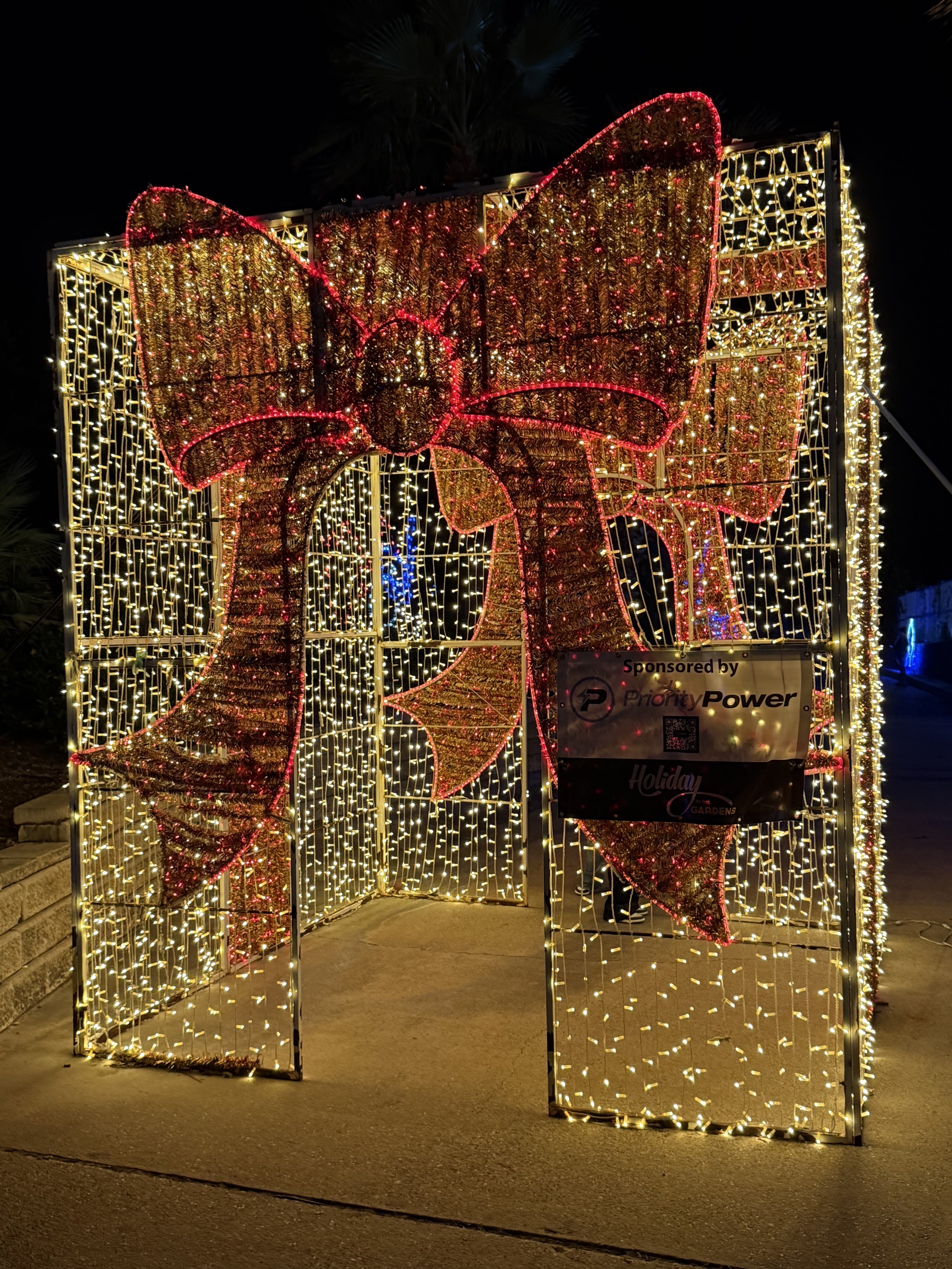 Holiday lights
