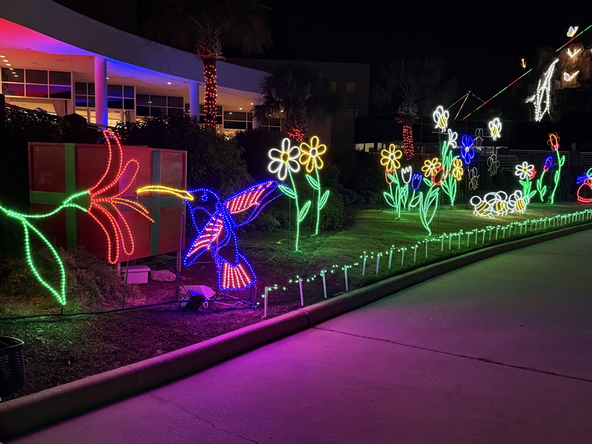 Holiday lights