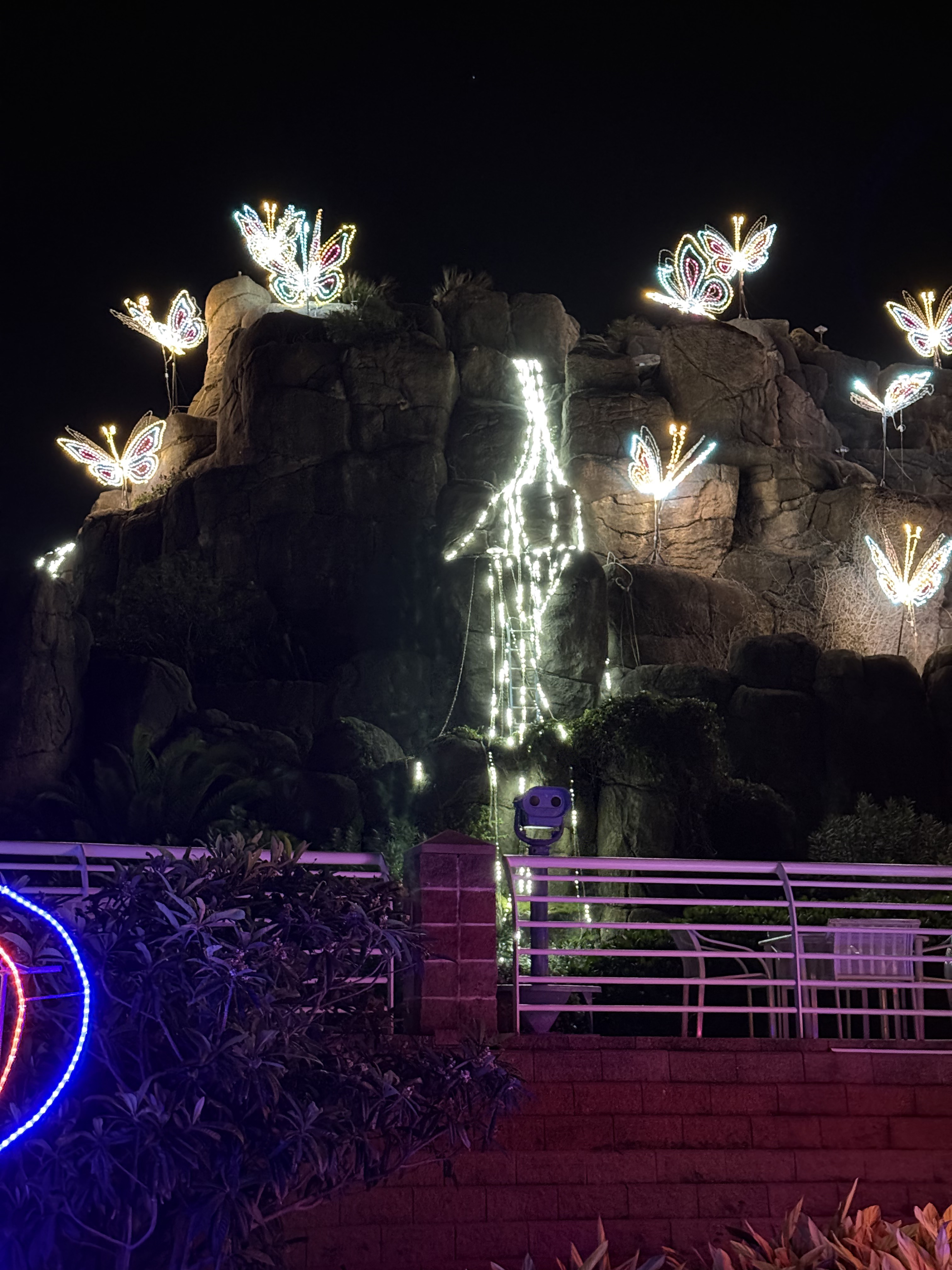 Holiday lights