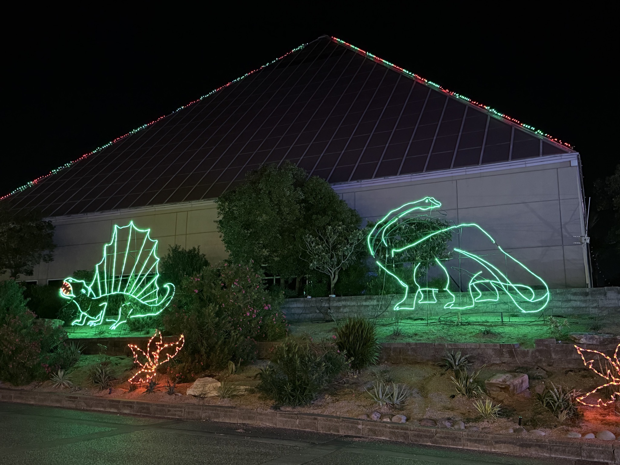 Holiday lights