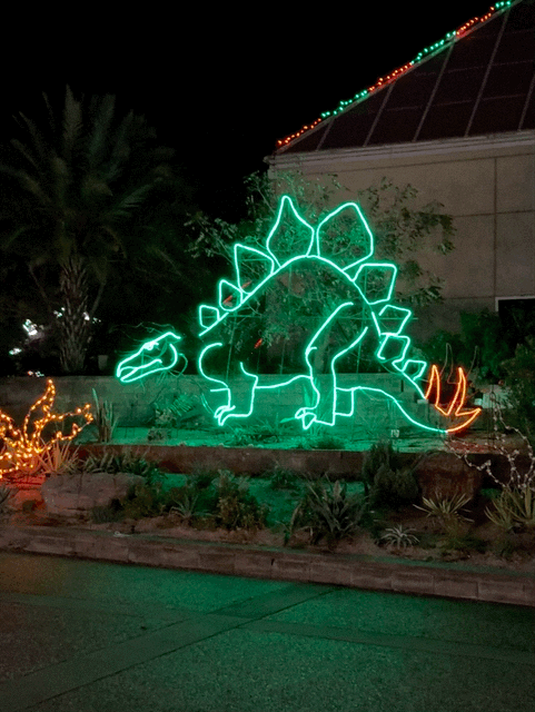 Holiday lights