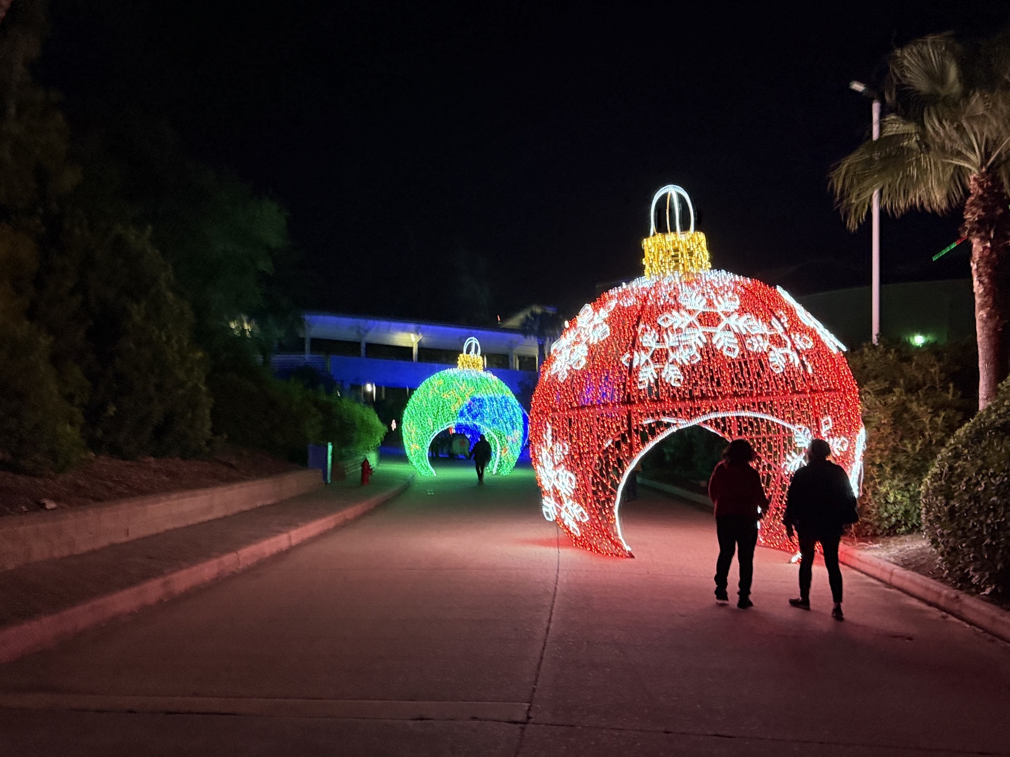 Holiday lights