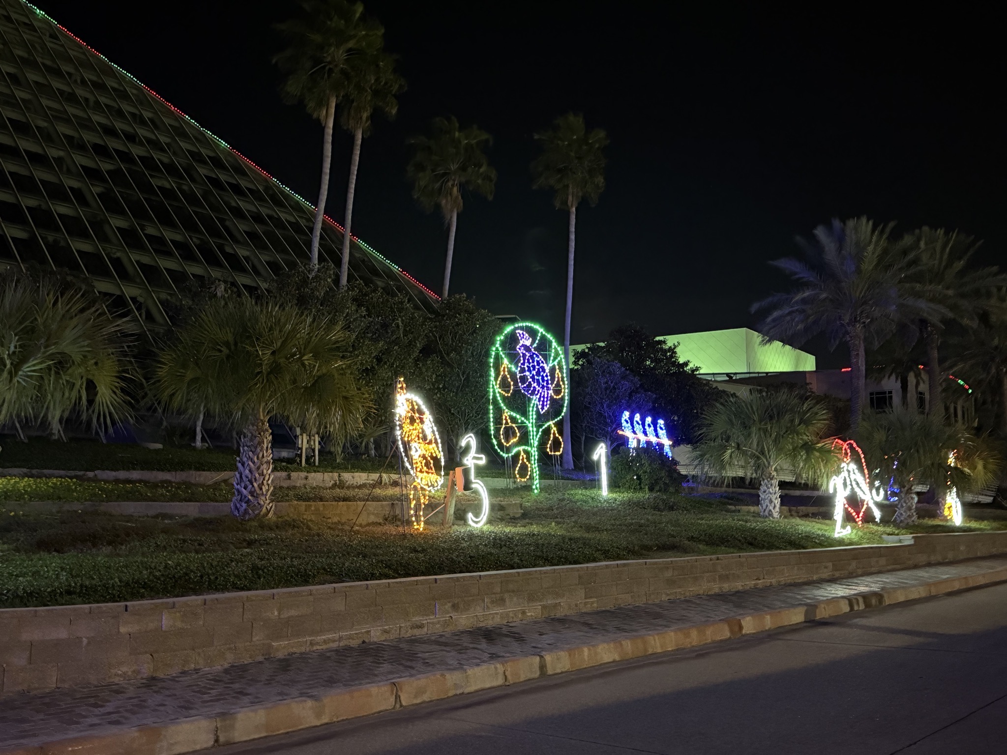 Holiday lights