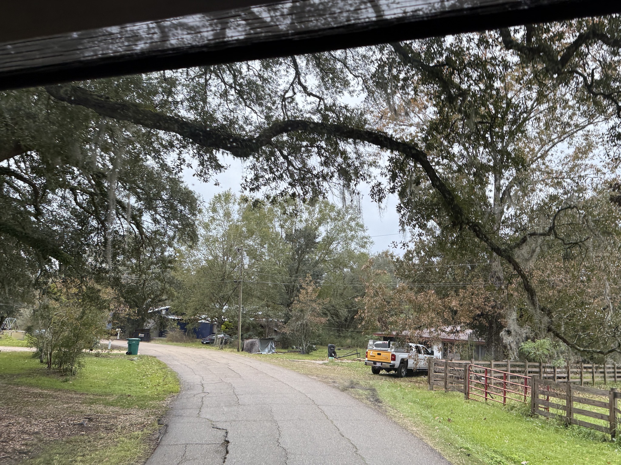 Narrow road to the park