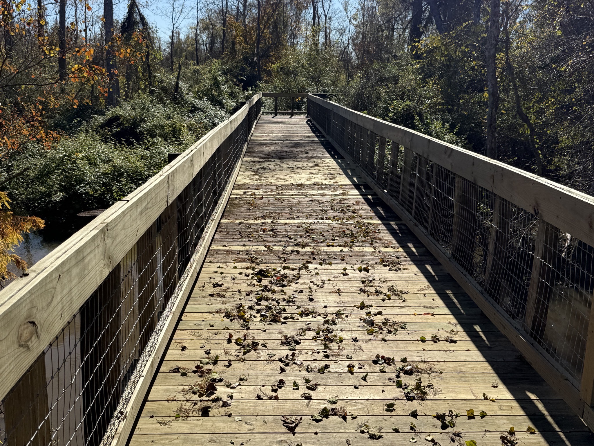 Boardwalk
