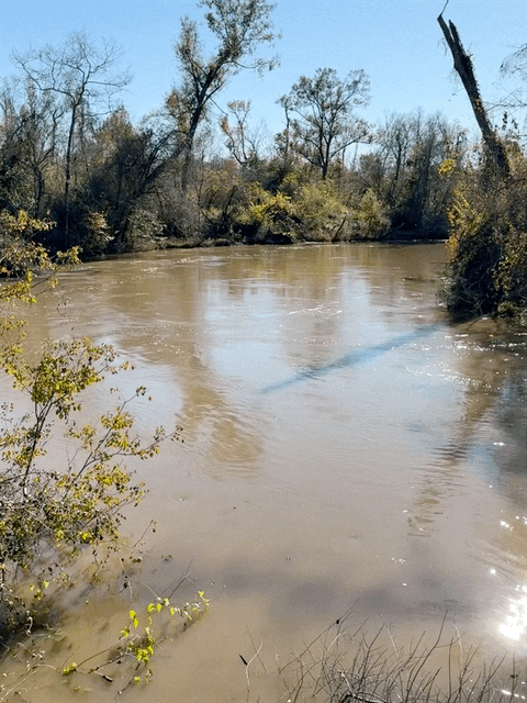 Tickfaw River