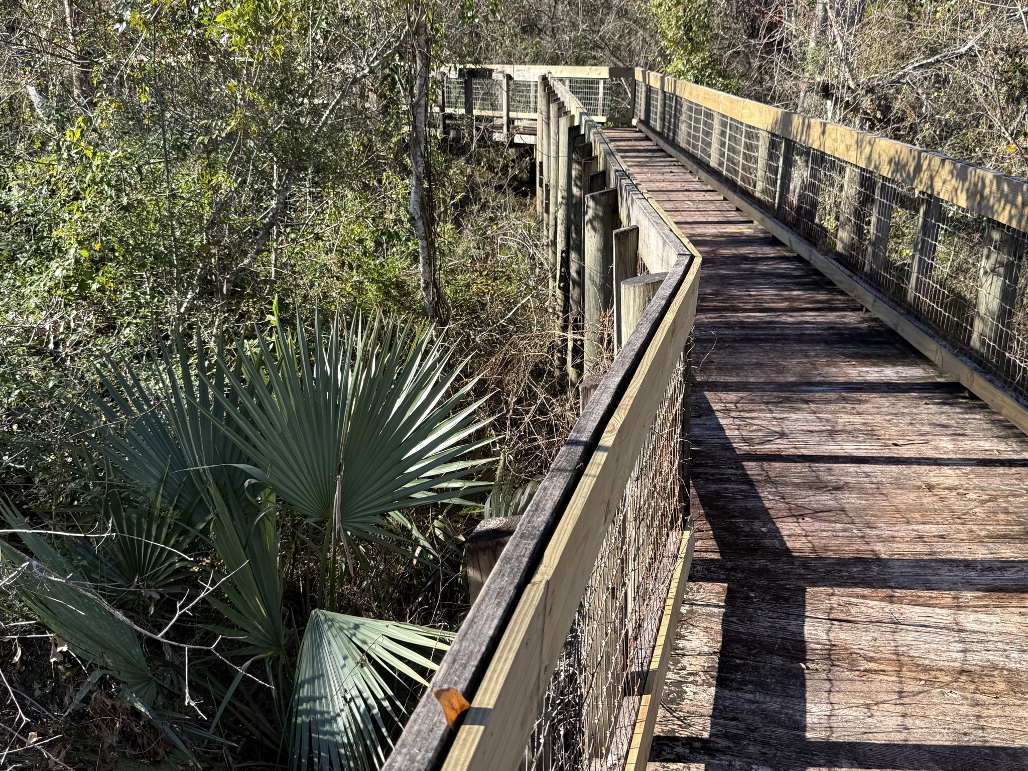 Boardwalk